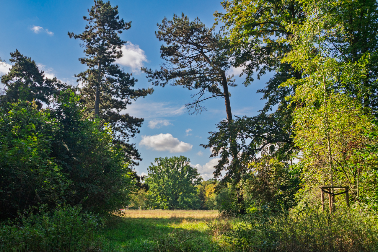 Baum September