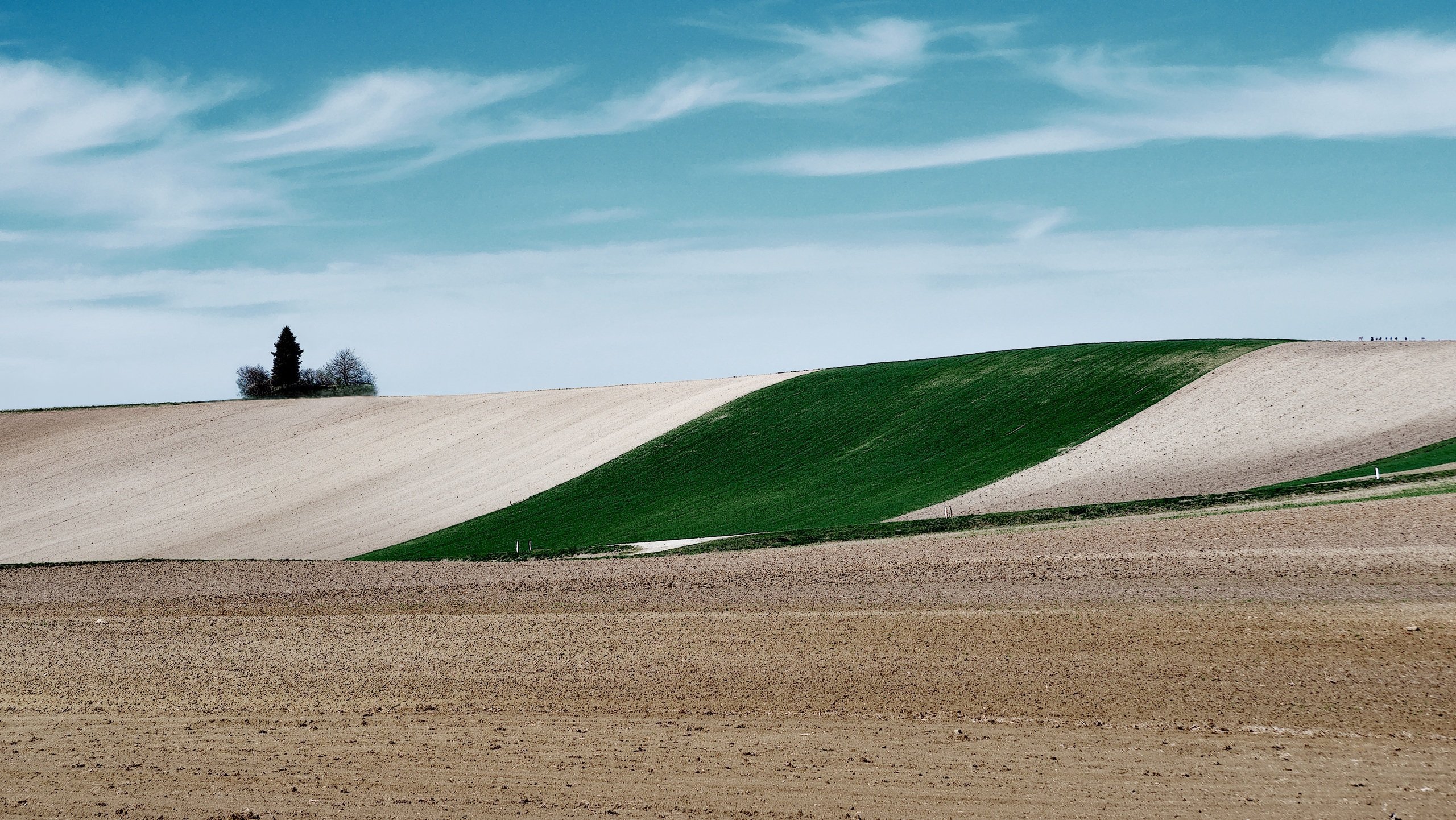 „Baumgruppe_versetzt_Danke WolfgangF“