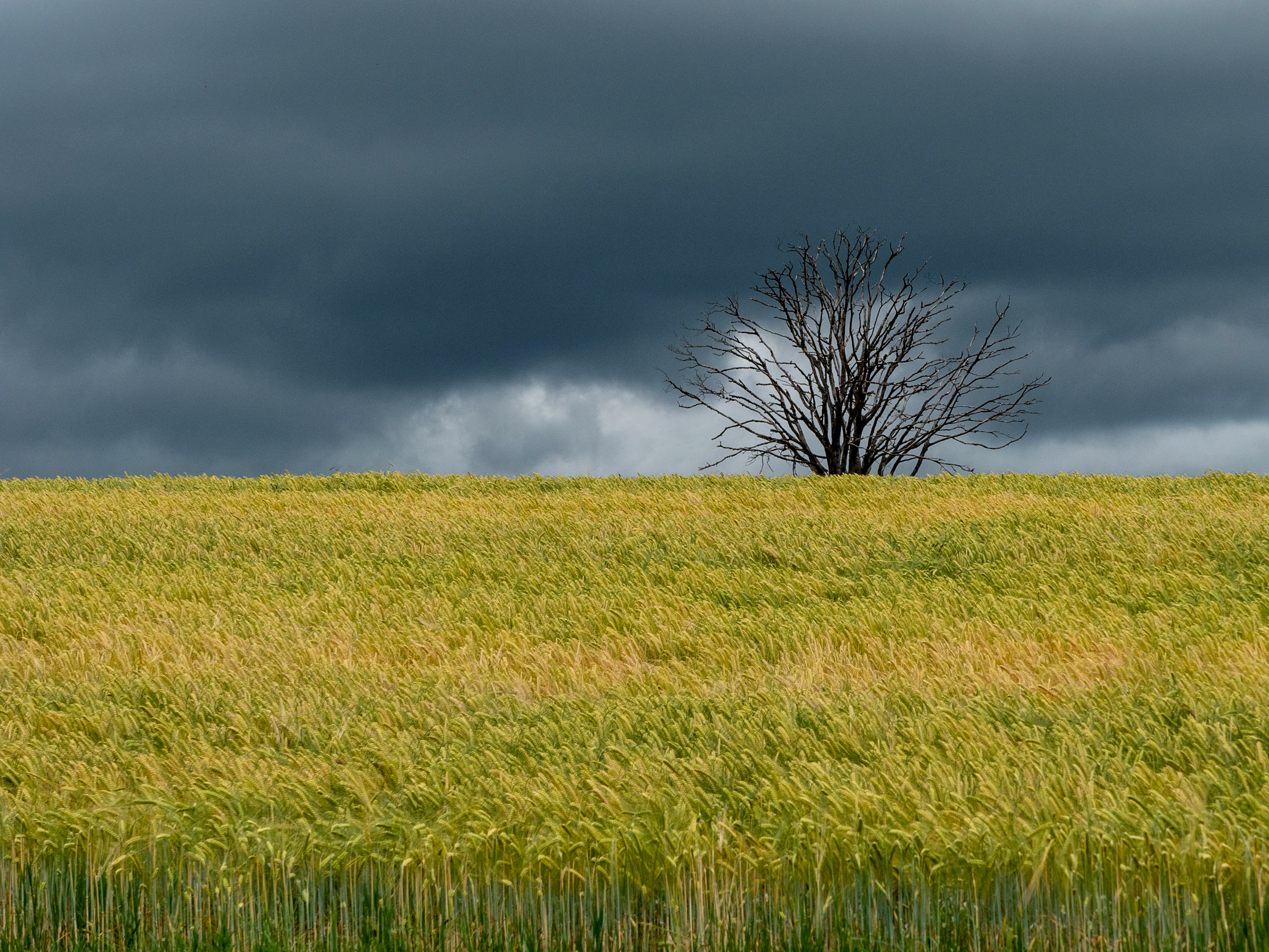Bedrohlich Wolken