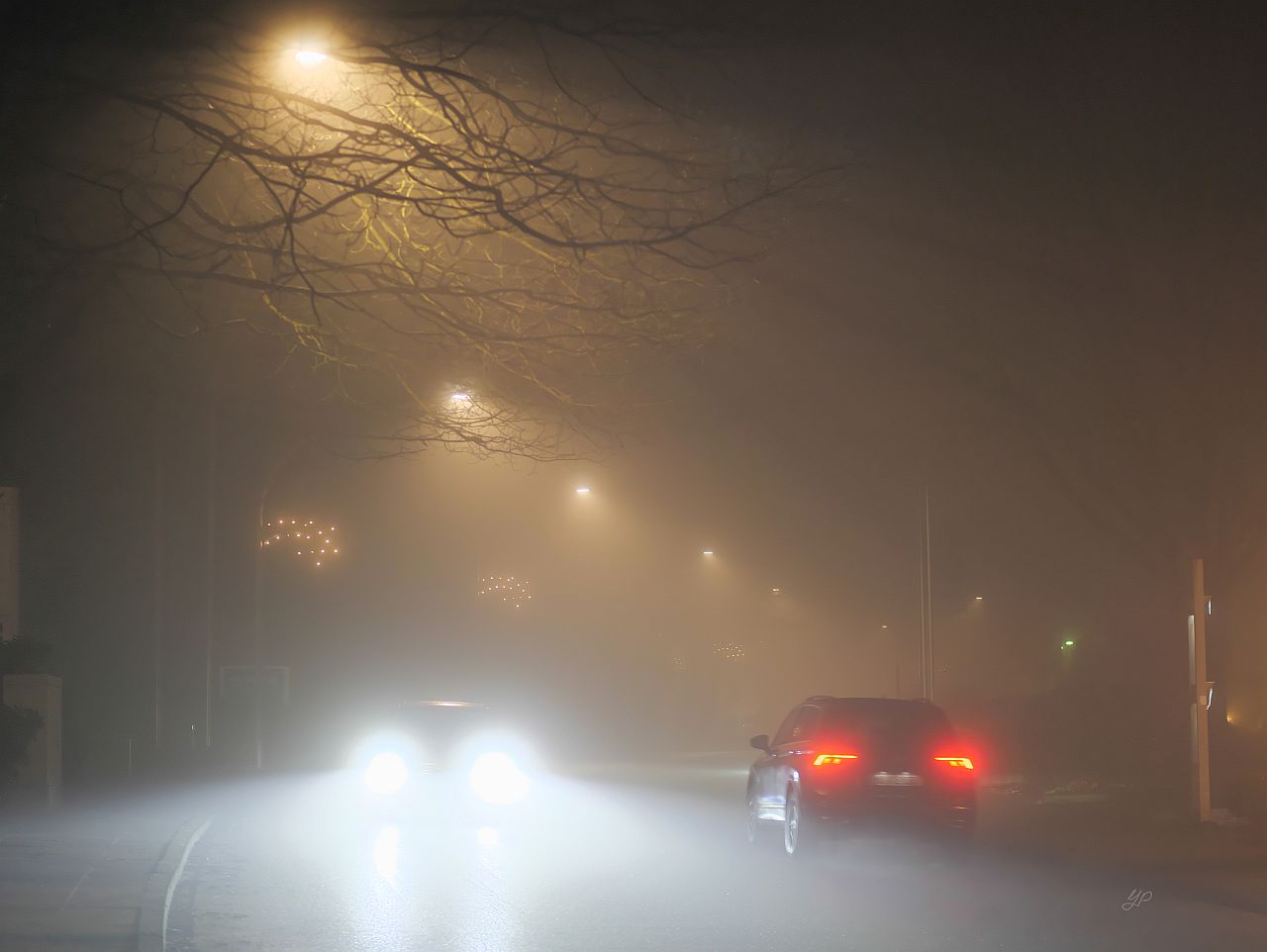 Begegnung im Nebel