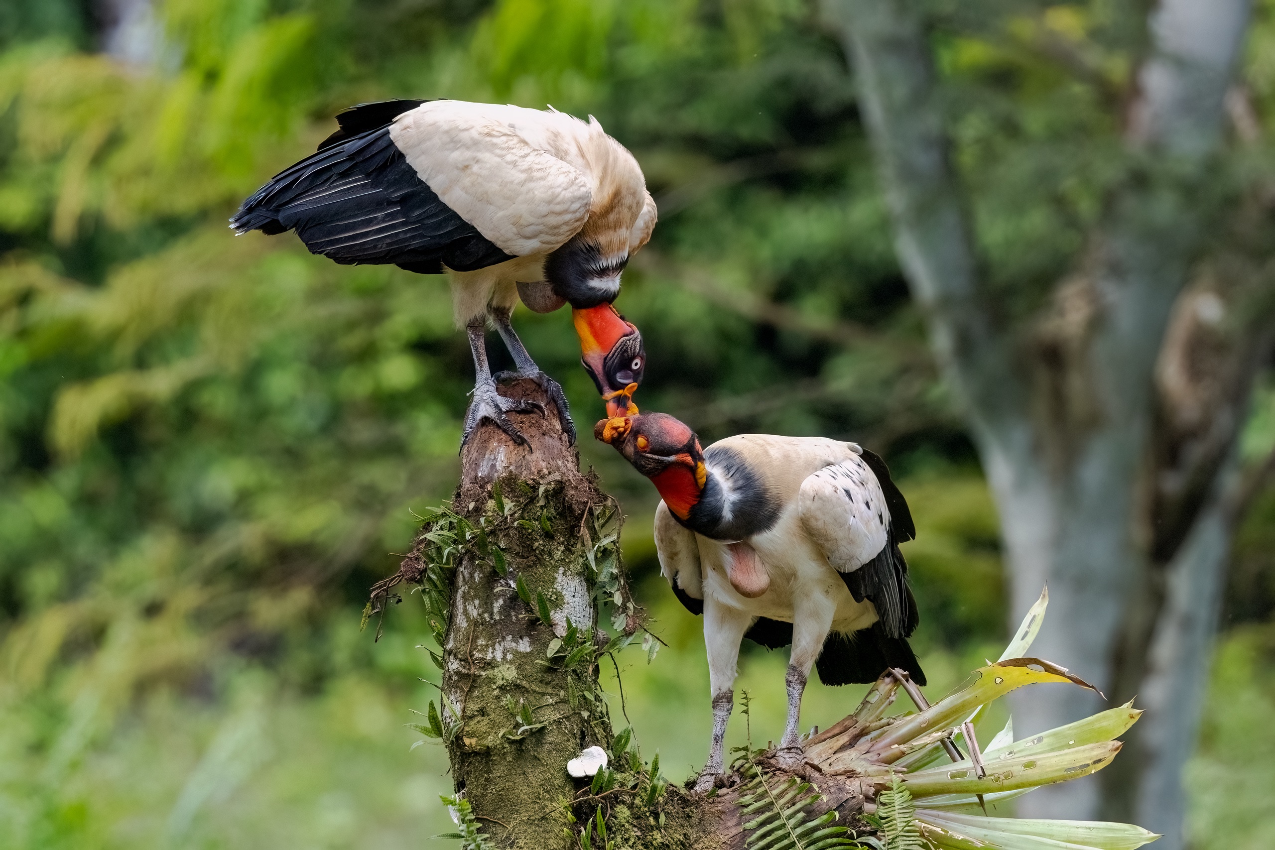Begrüßung bei Geiers....