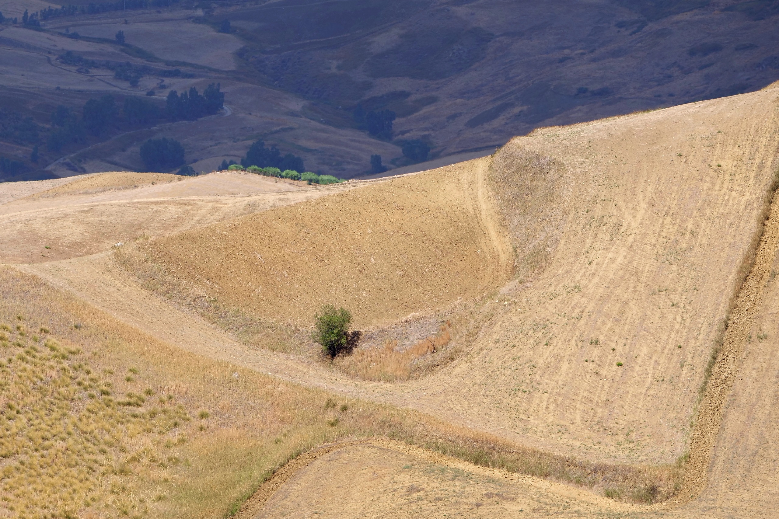 Bella Sicilia