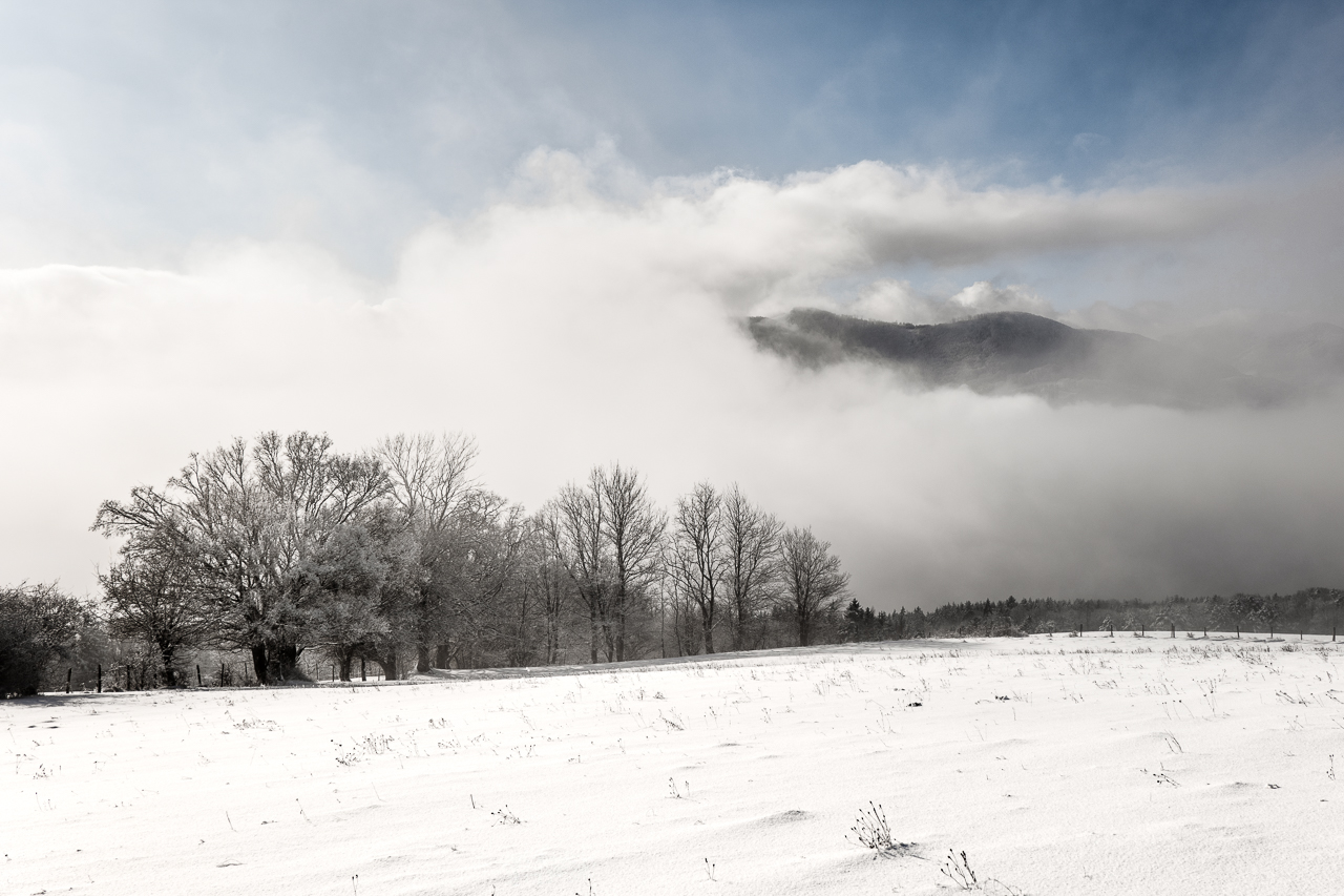 Bergwelt im Winter