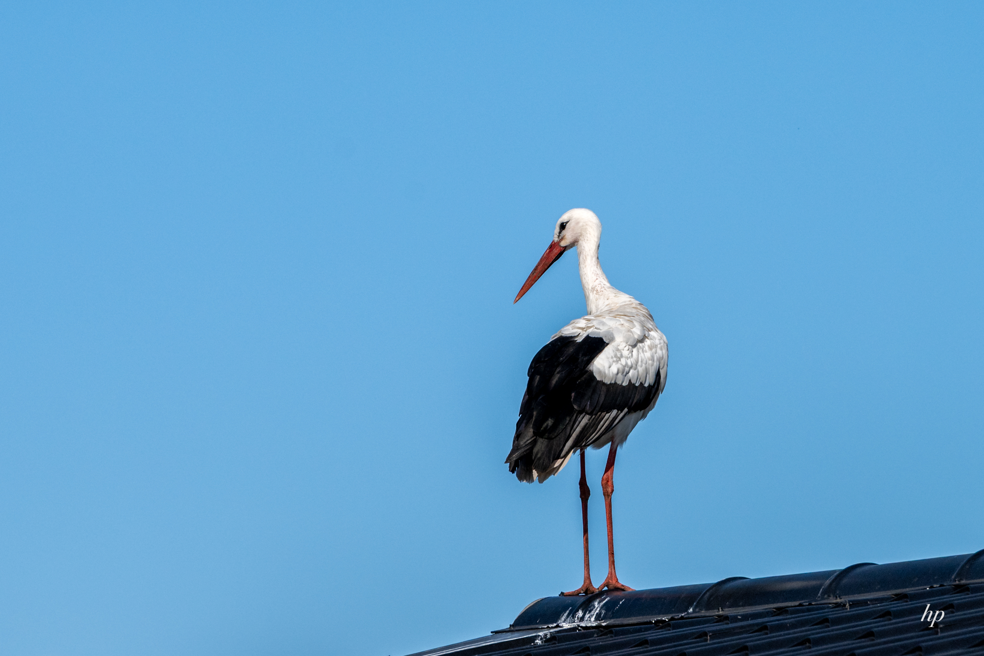 Besuch im Ferienpark an der Ijssel