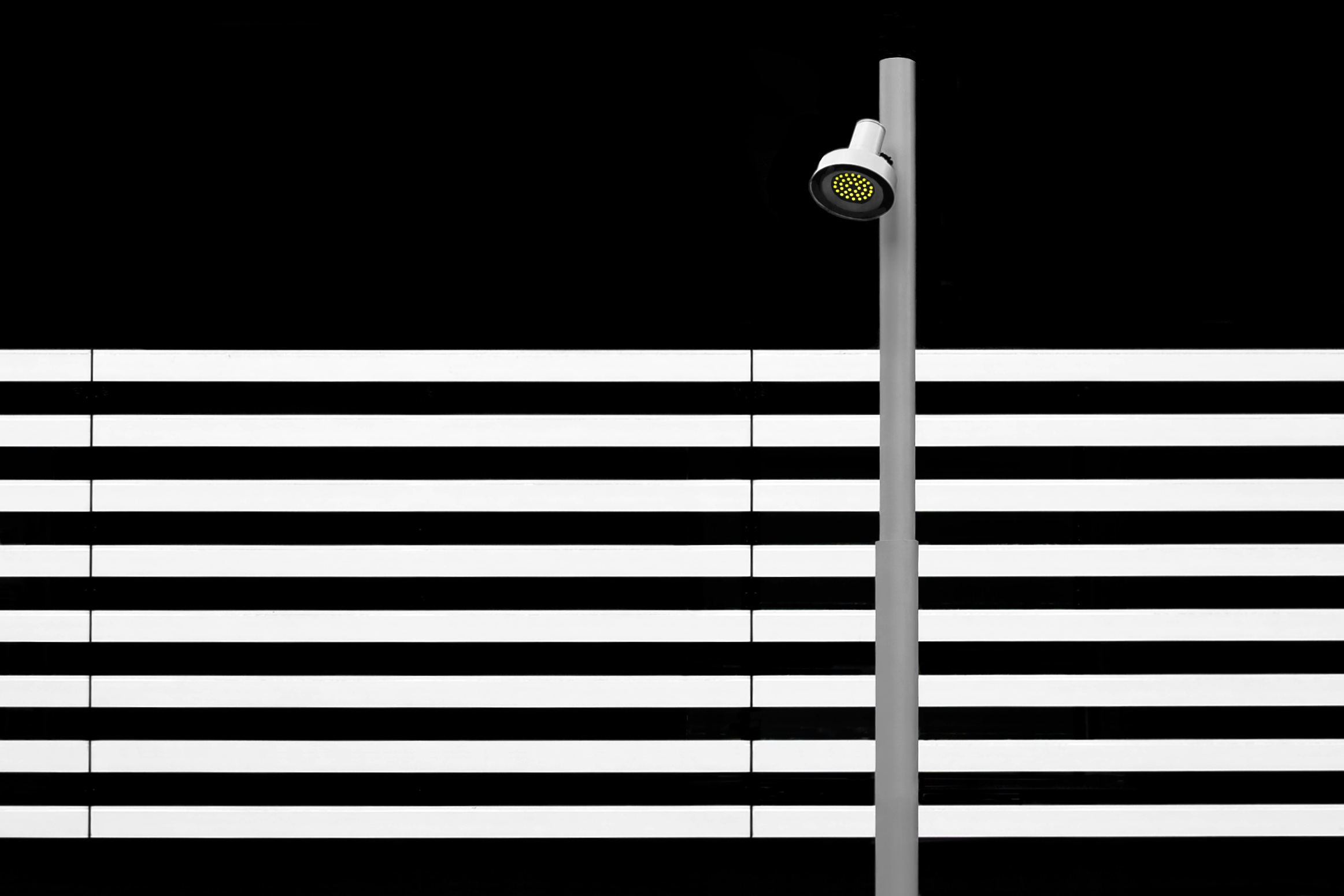 Bevor das Zebra kam