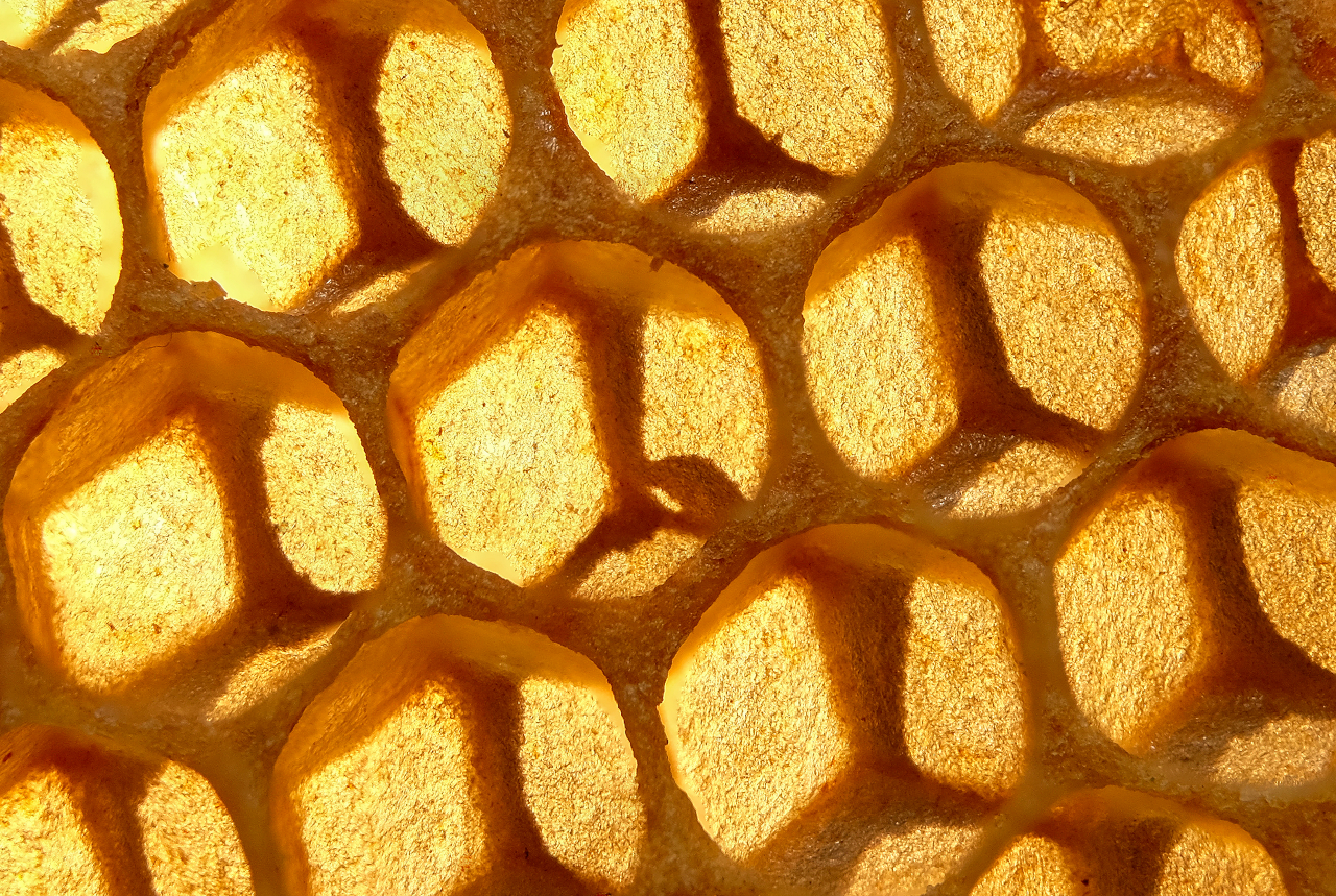 Bienenwaben