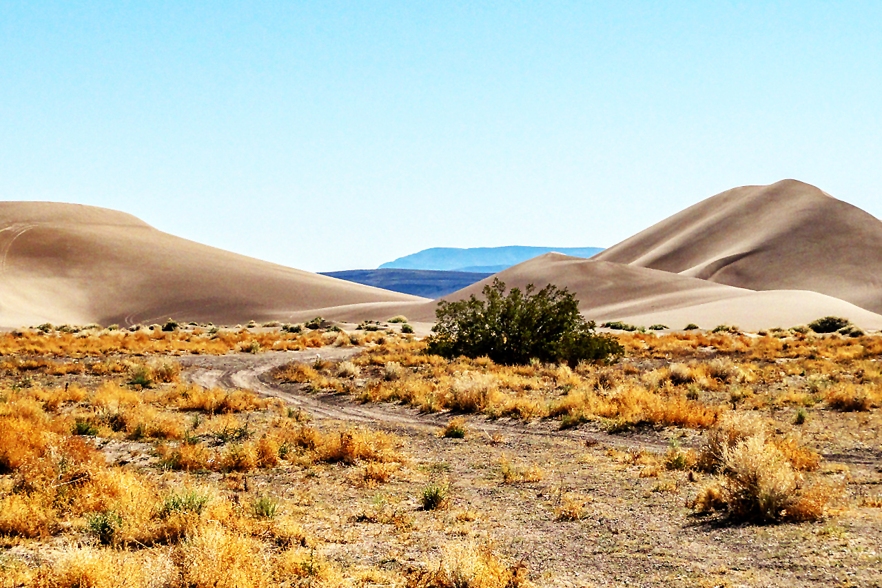 Big Dune