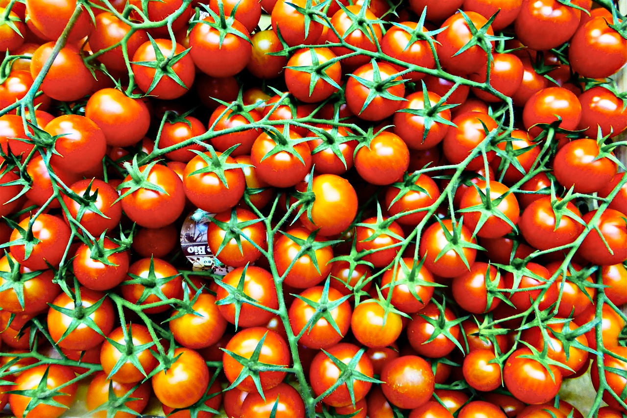 BIO - Tomaten .jpg