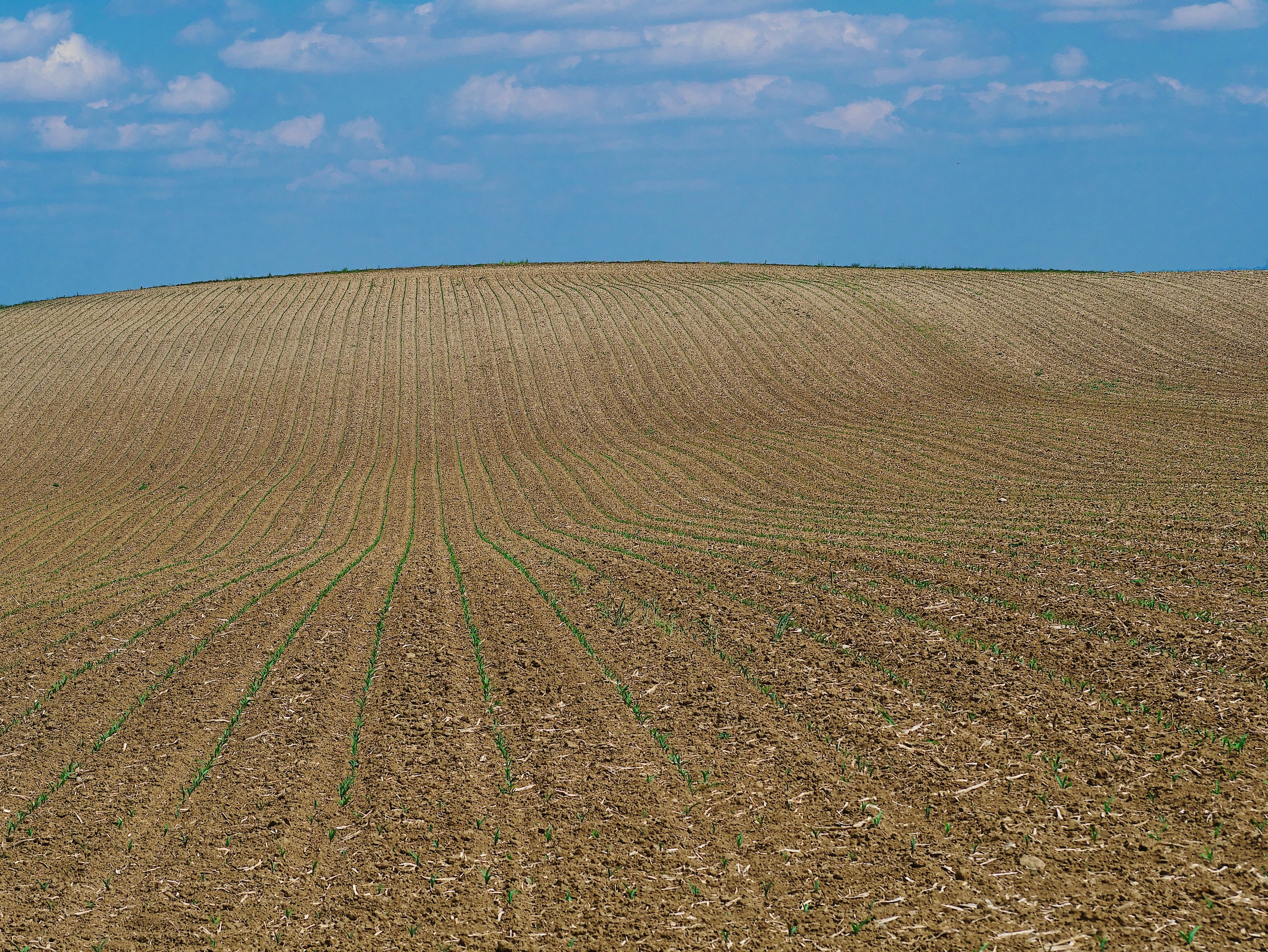 bis zum Horizont
