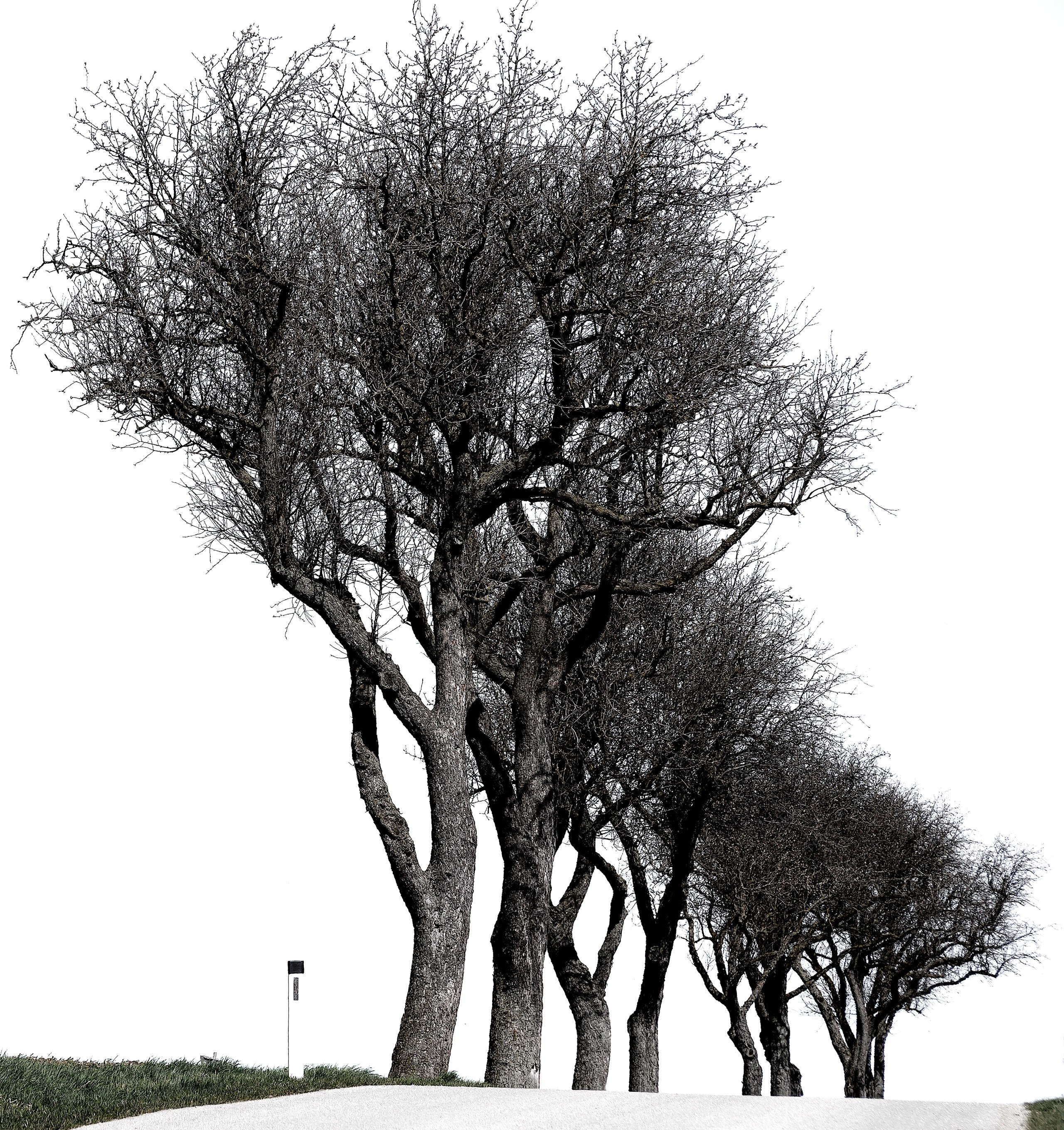 „Bitte langsam fahren“