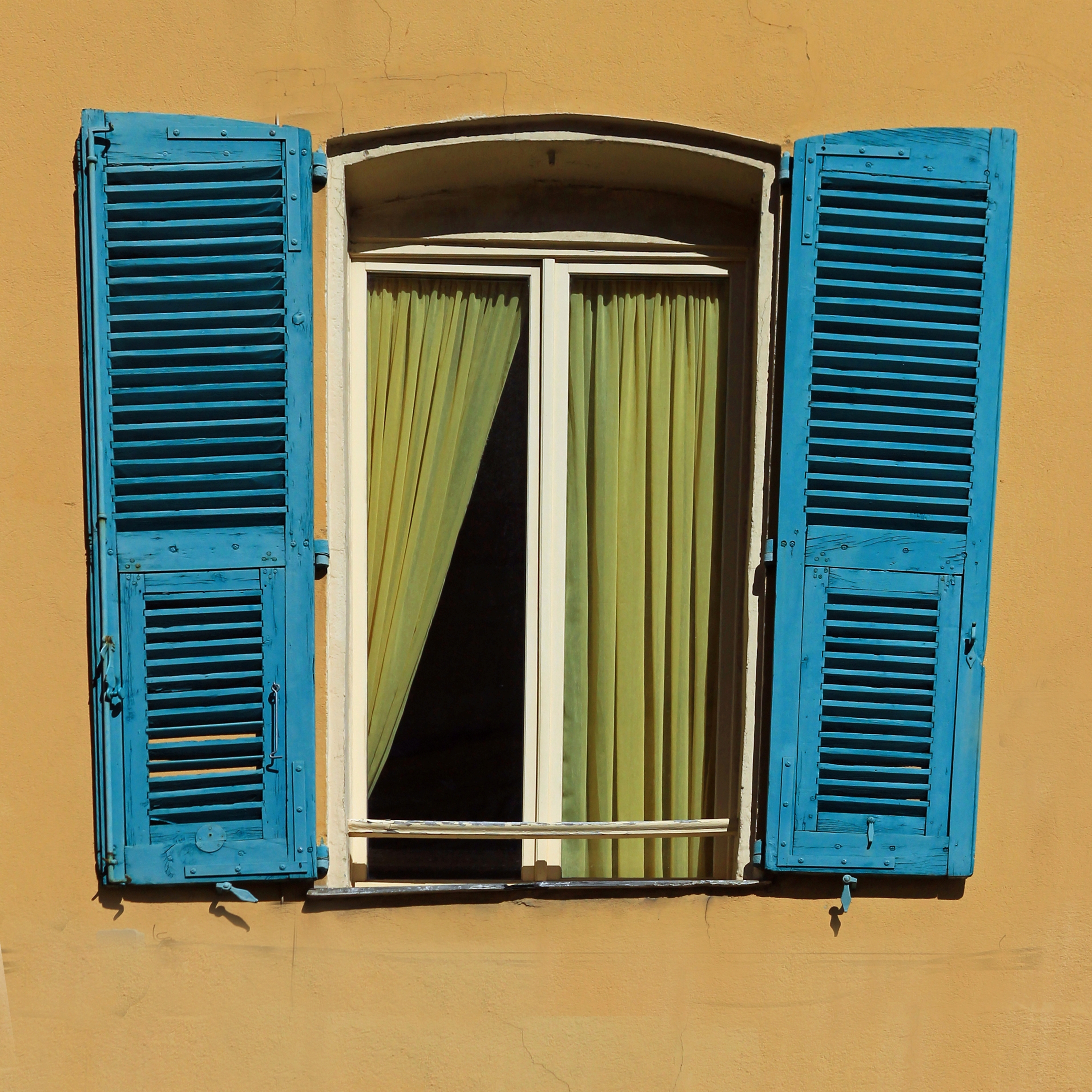 Blau beflügelt.jpg