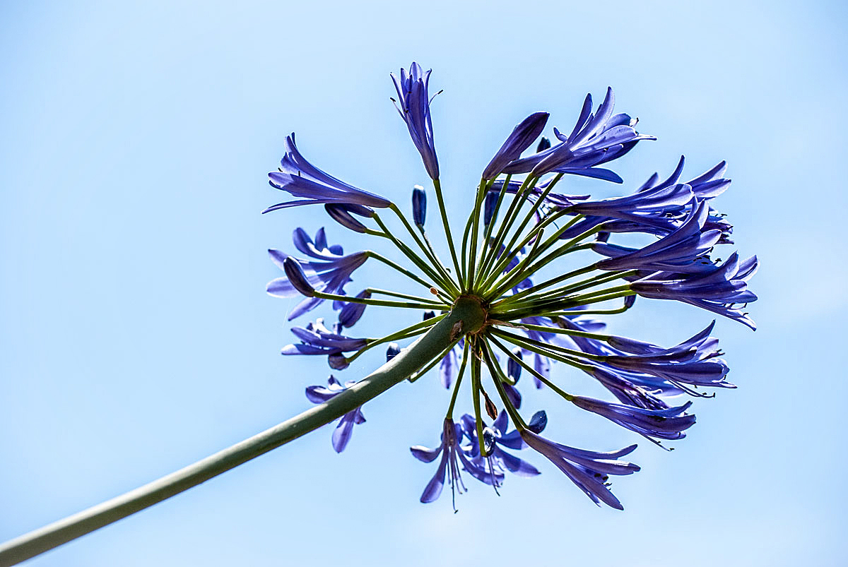 Blau in blau...