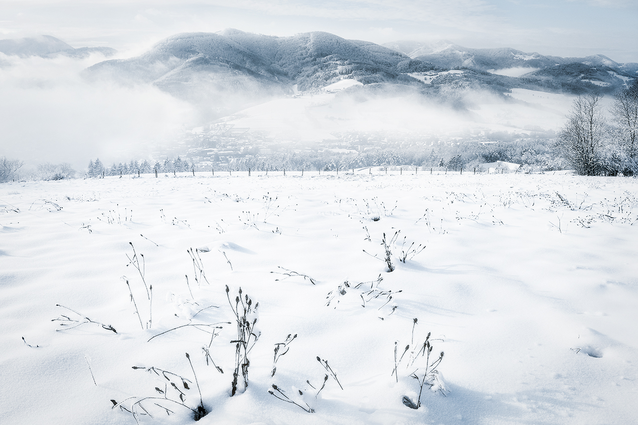 Blau-weißer Winter