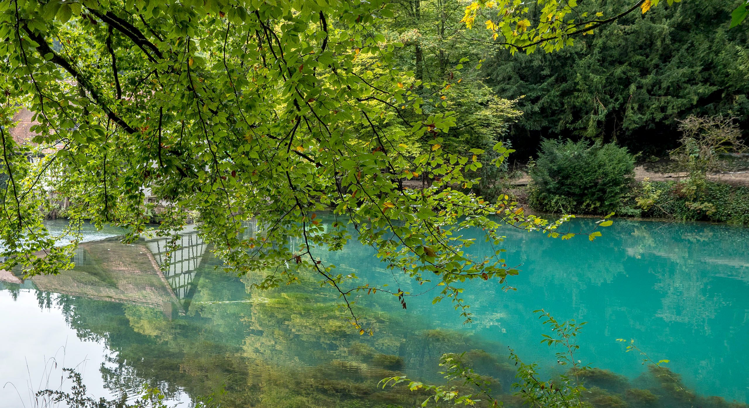 Blautopf in Blaubeuren
