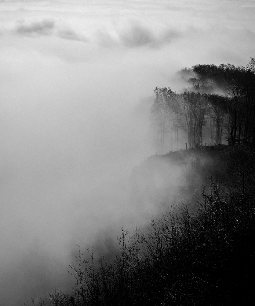 Blick auf den Nebel