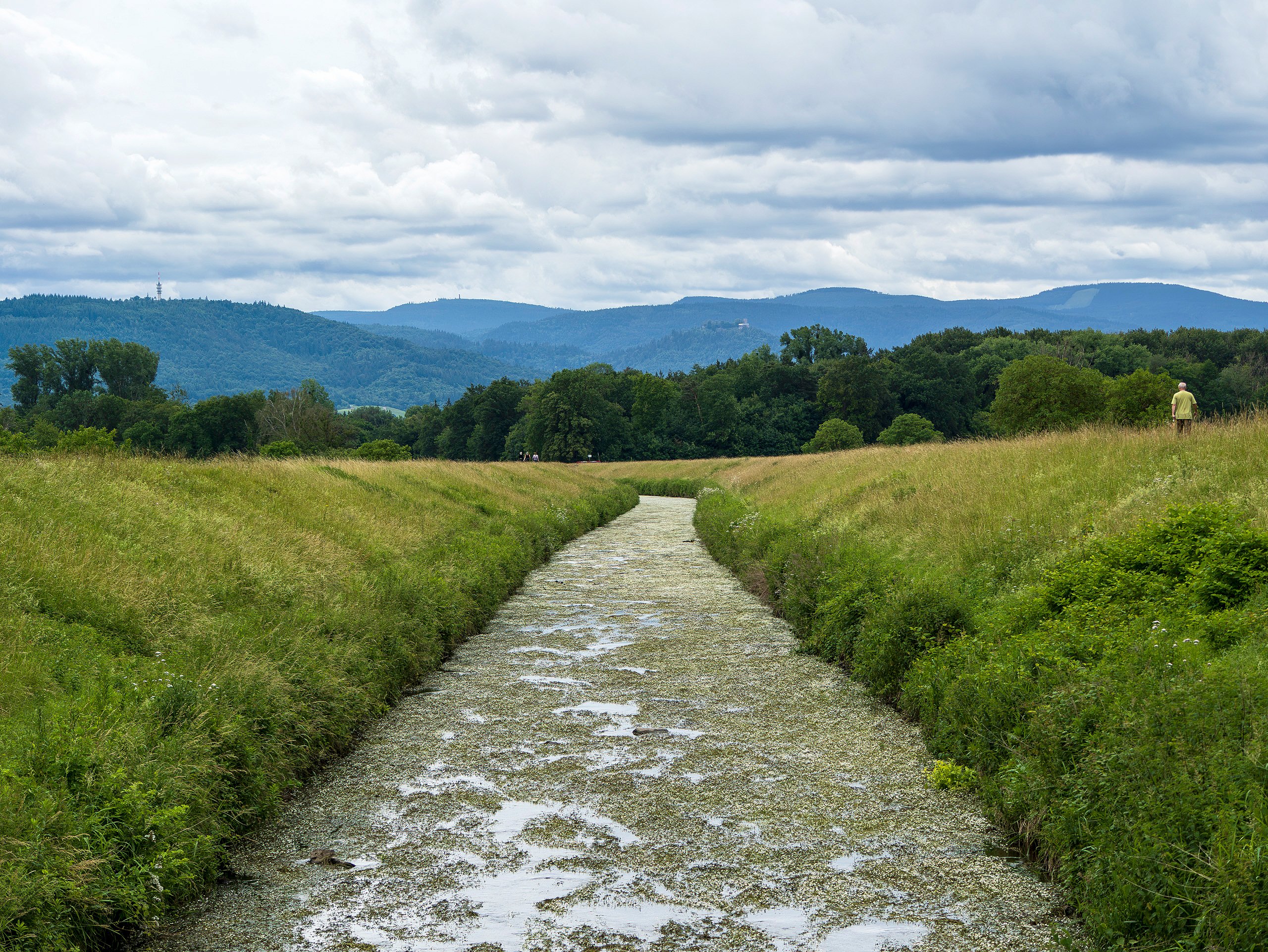 Blick auf die Schwarzwaldberge