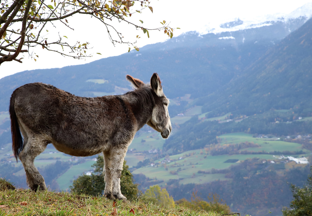 Blick auf`s Land