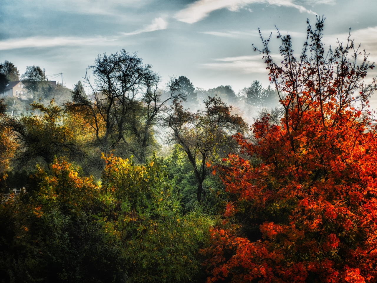 Blick aus dem Küchenfenster