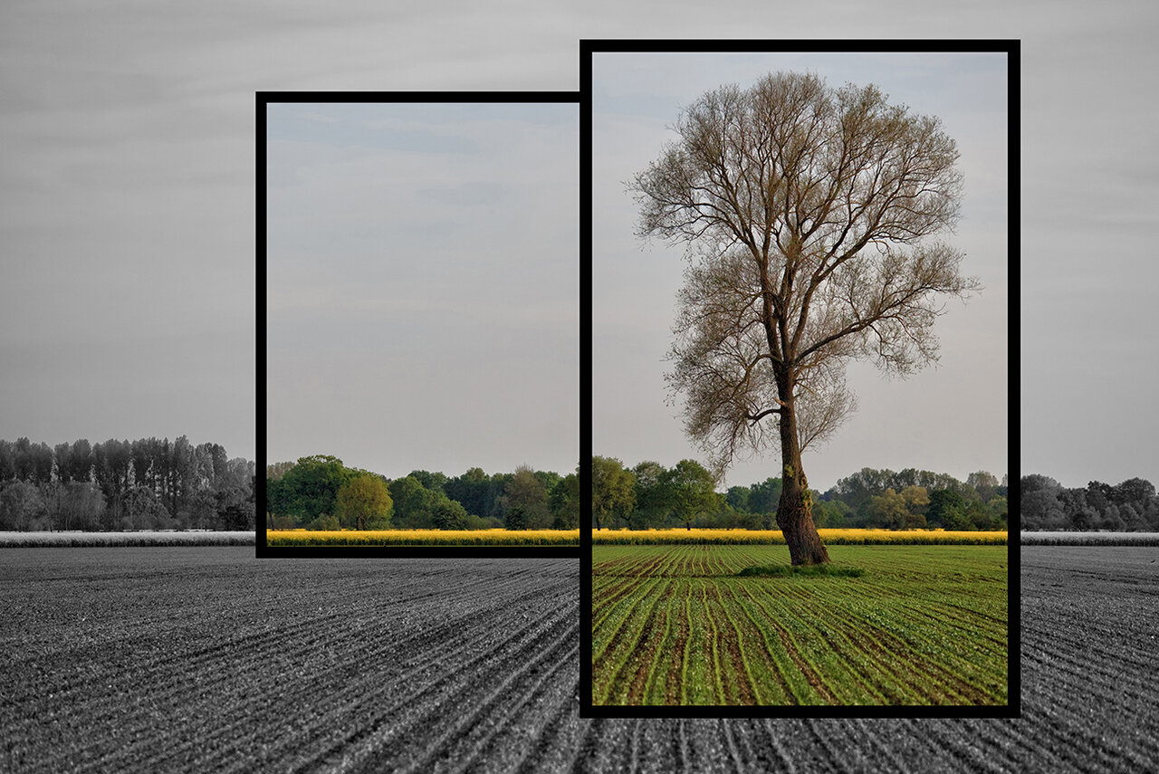 Blick durchs Fenster