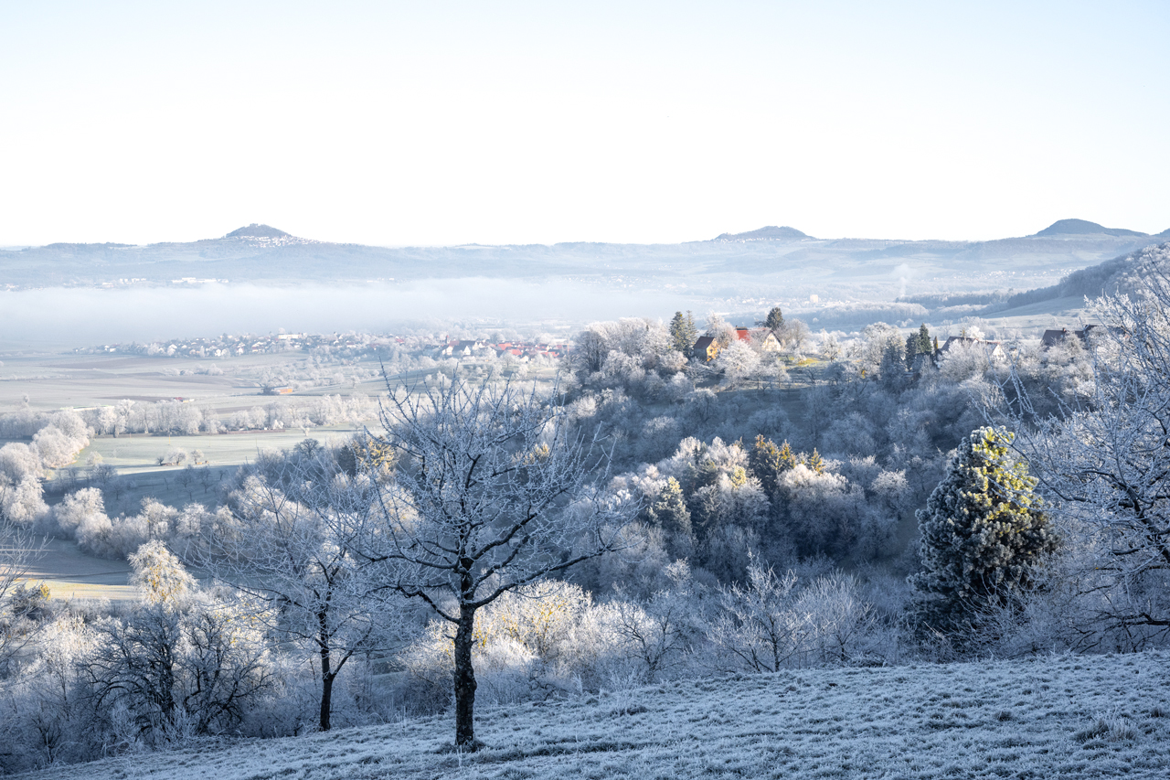 Blick nach Norden