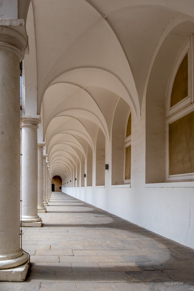Blick nach vorne