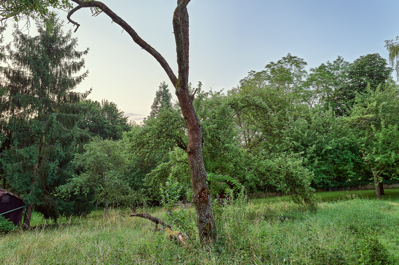 Blick über den Gartenzaun