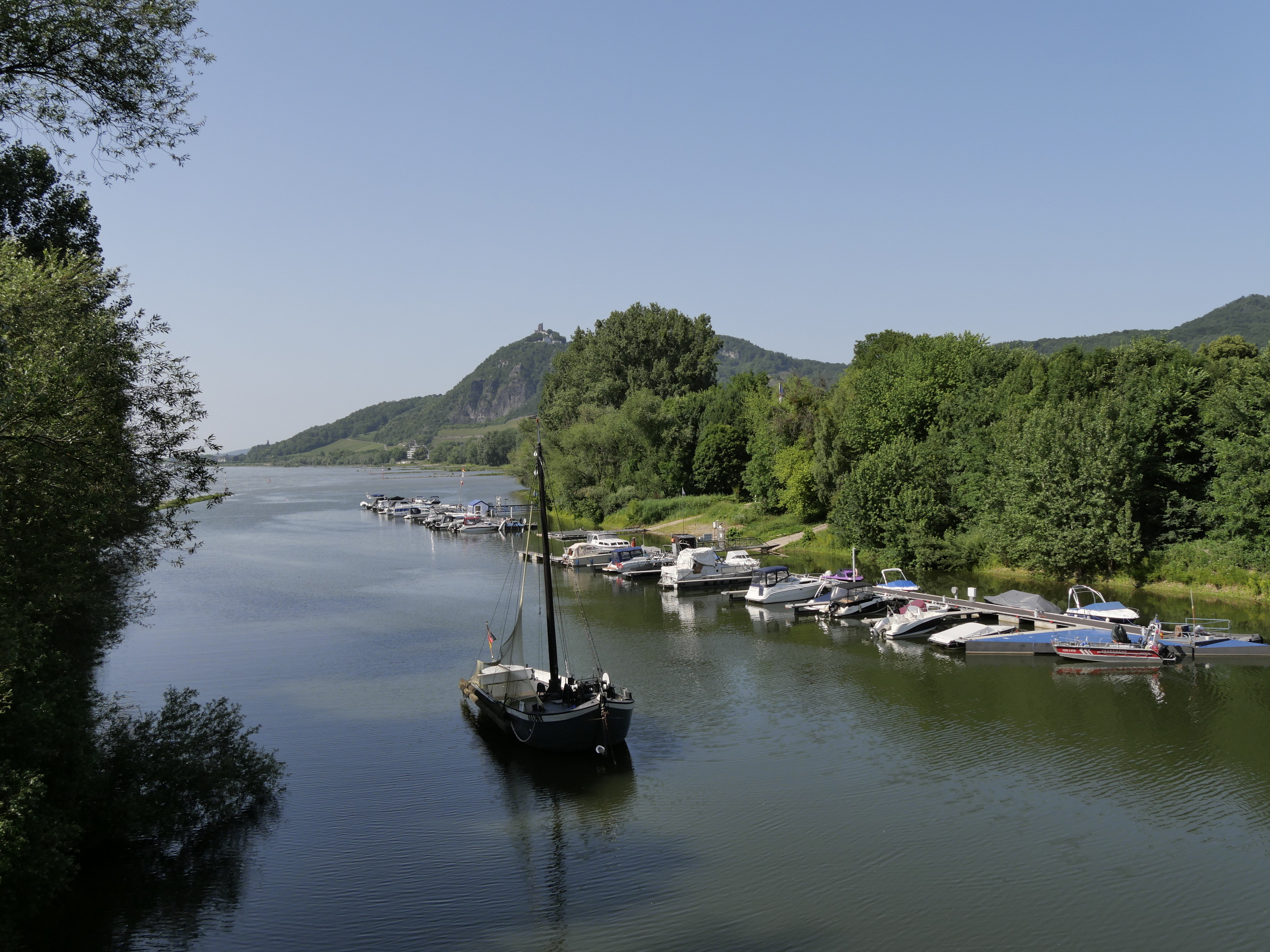 Blick über den Rhein auf den Drachenfels.