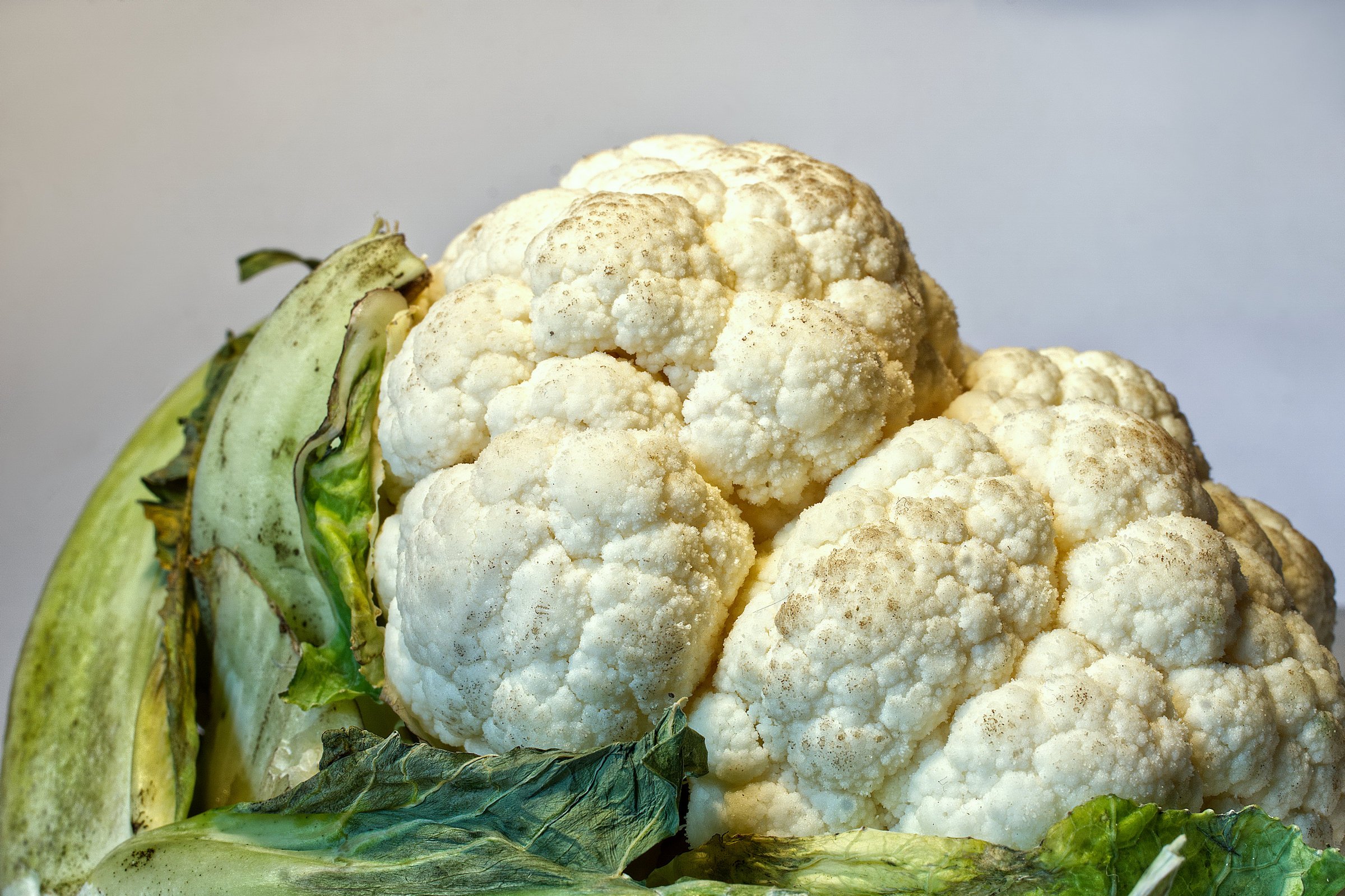 Blumenkohl