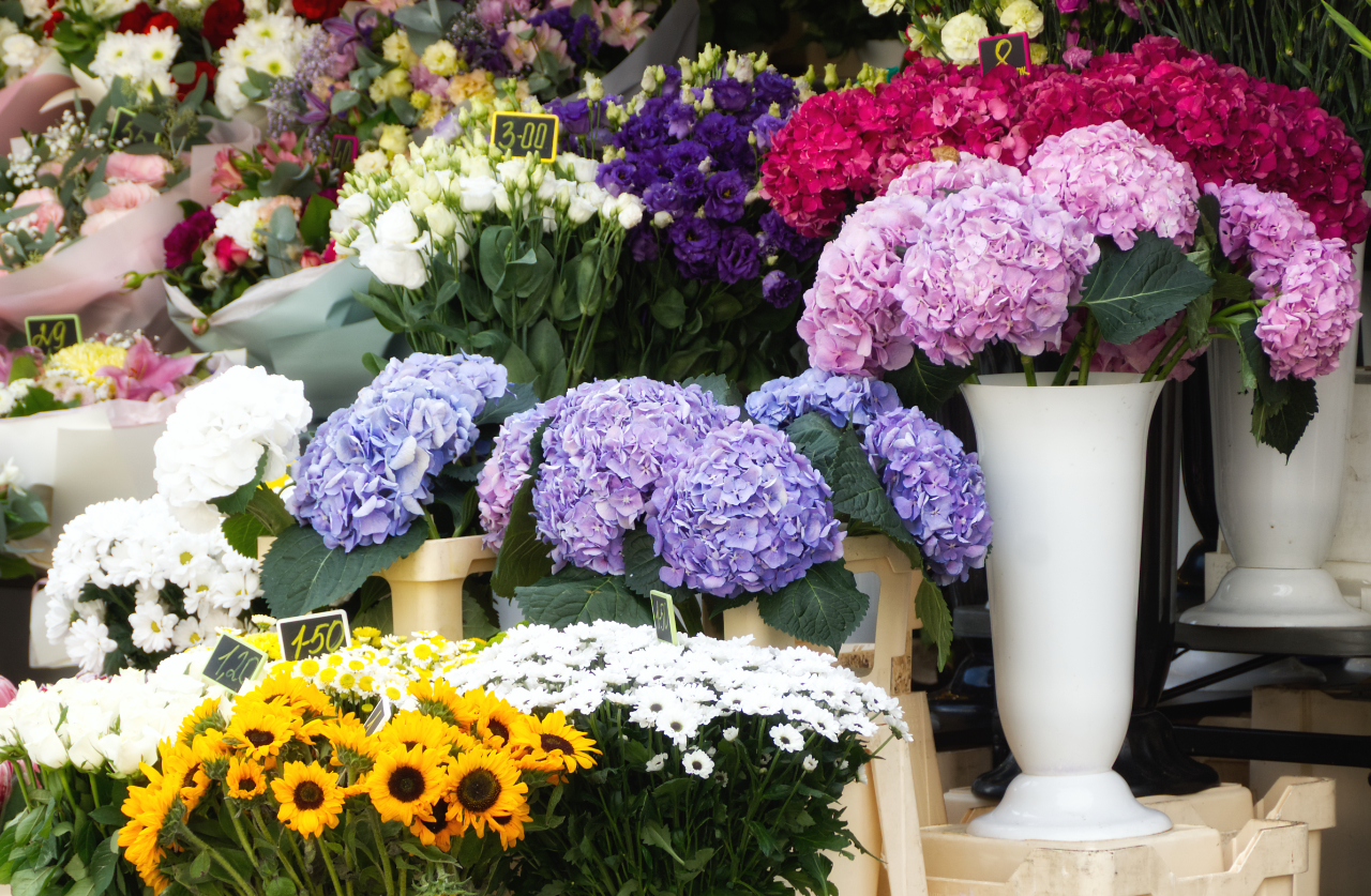 Blumenmarkt Tallin