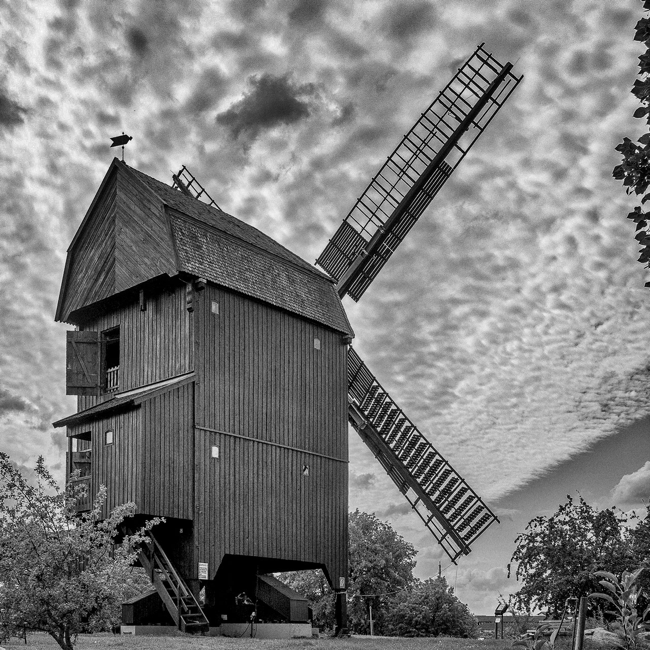 Bockwindmühle in Werder/Havel