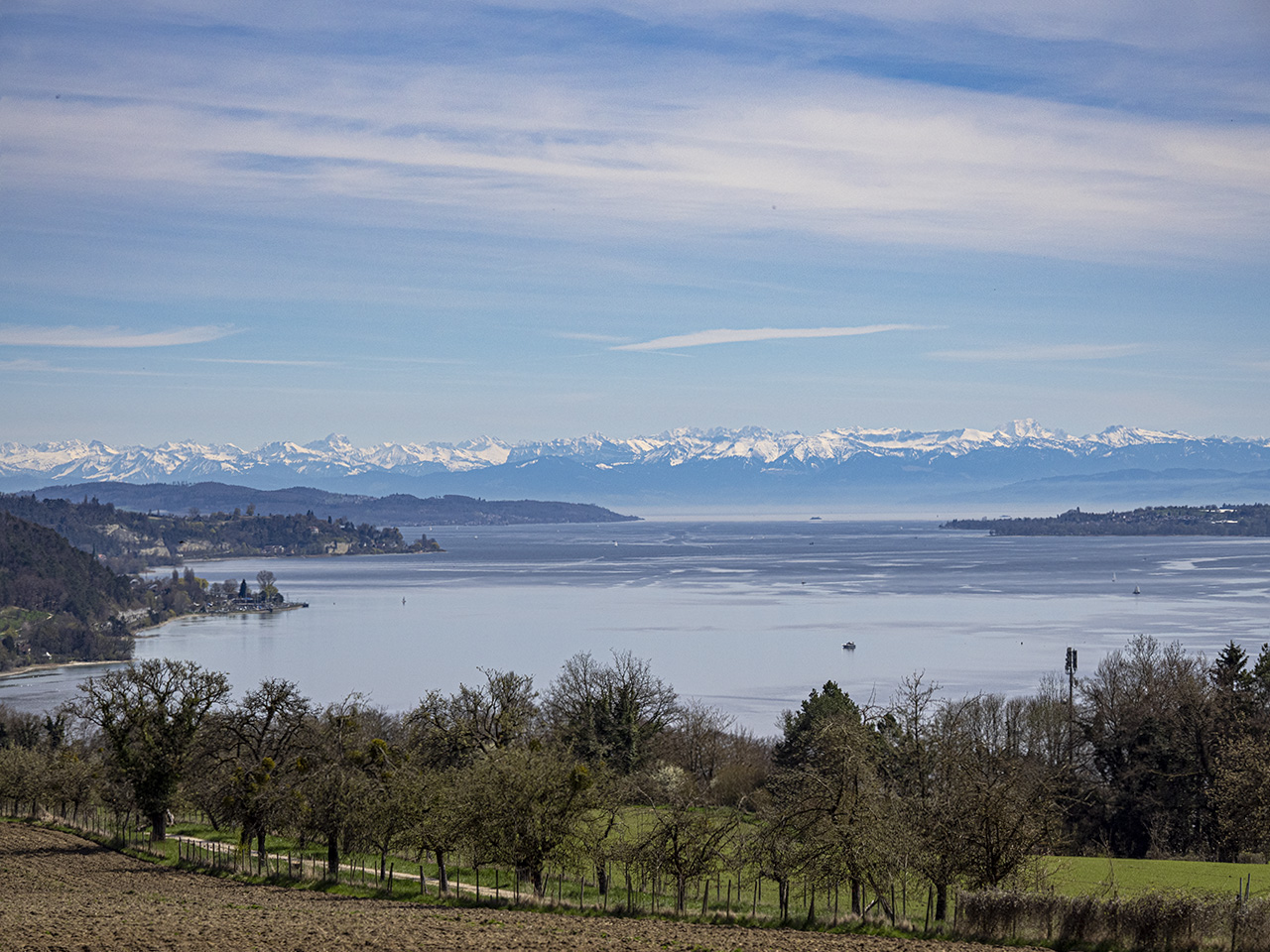 Bodensee