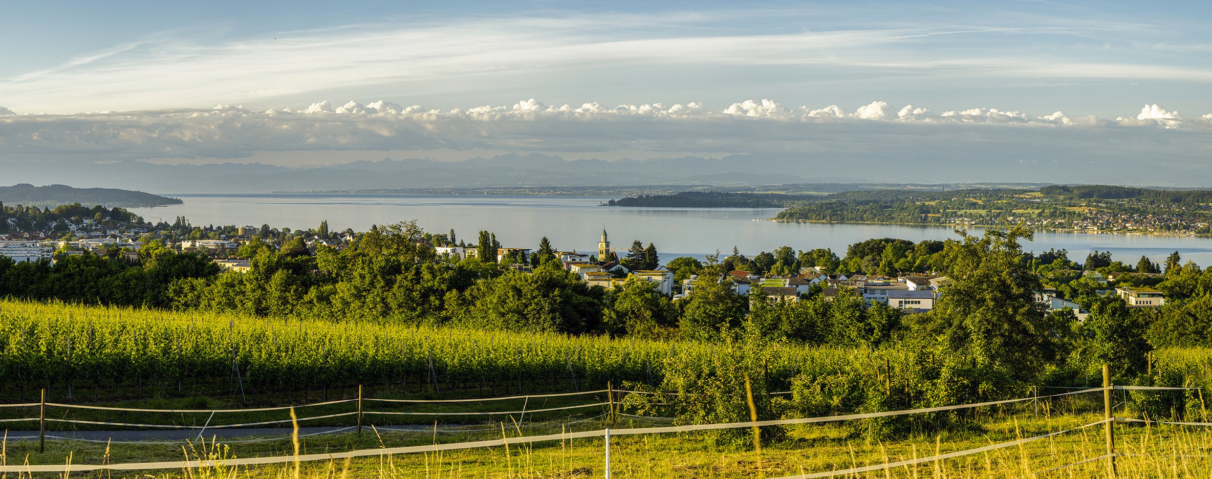 Bodensee