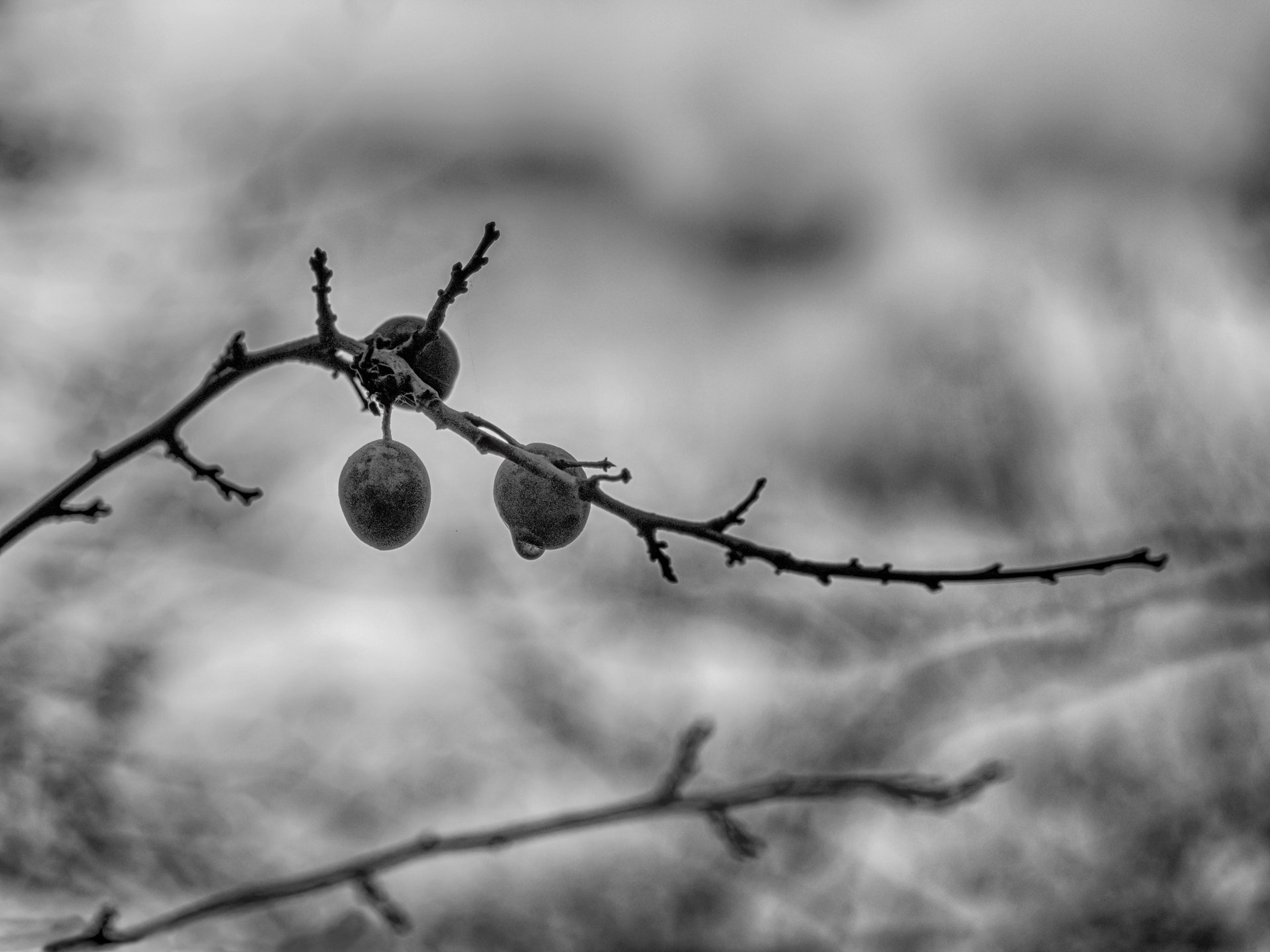 Boten des Herbstes 3