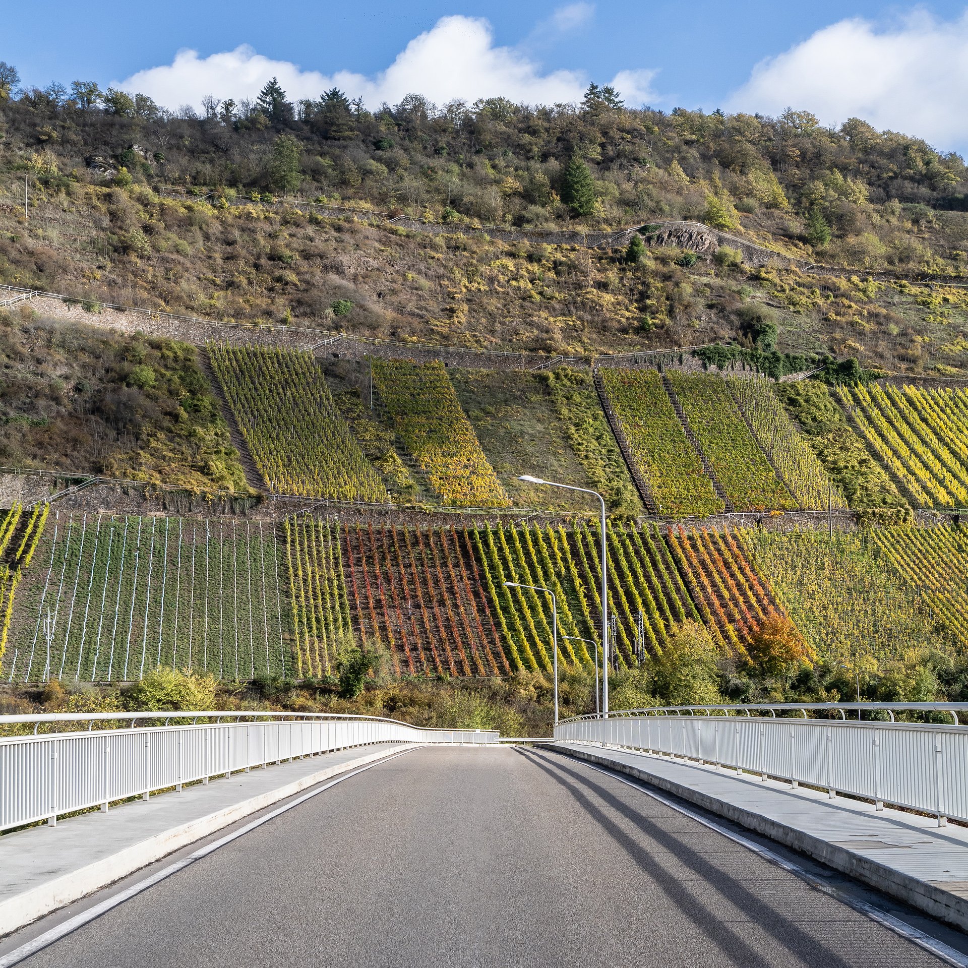 Brücke zum Wein