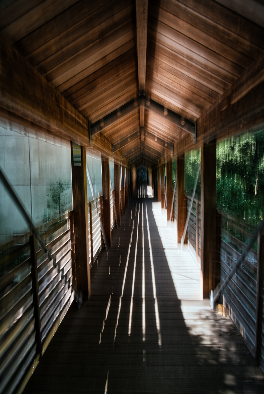 Brücke