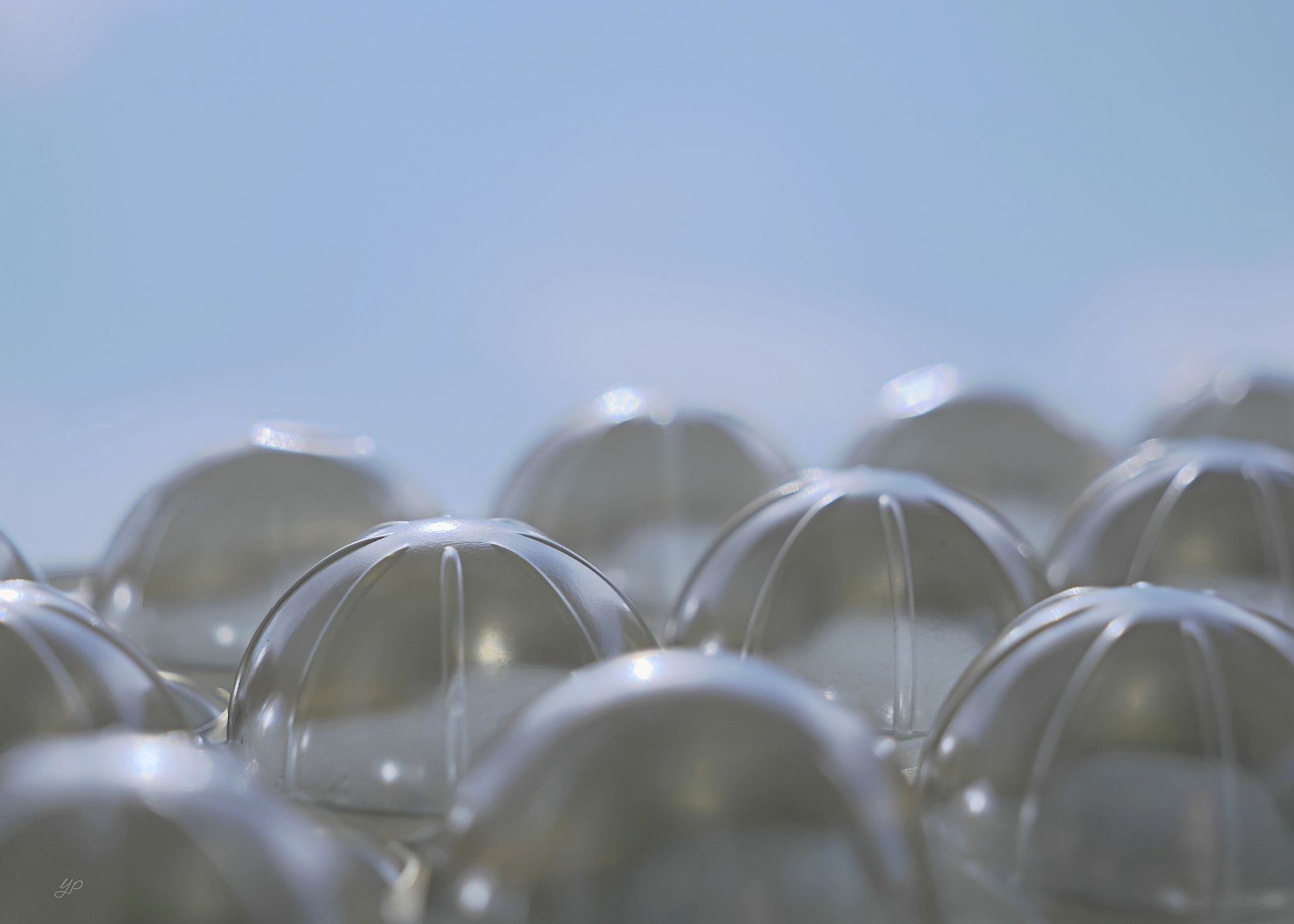 Bubbles