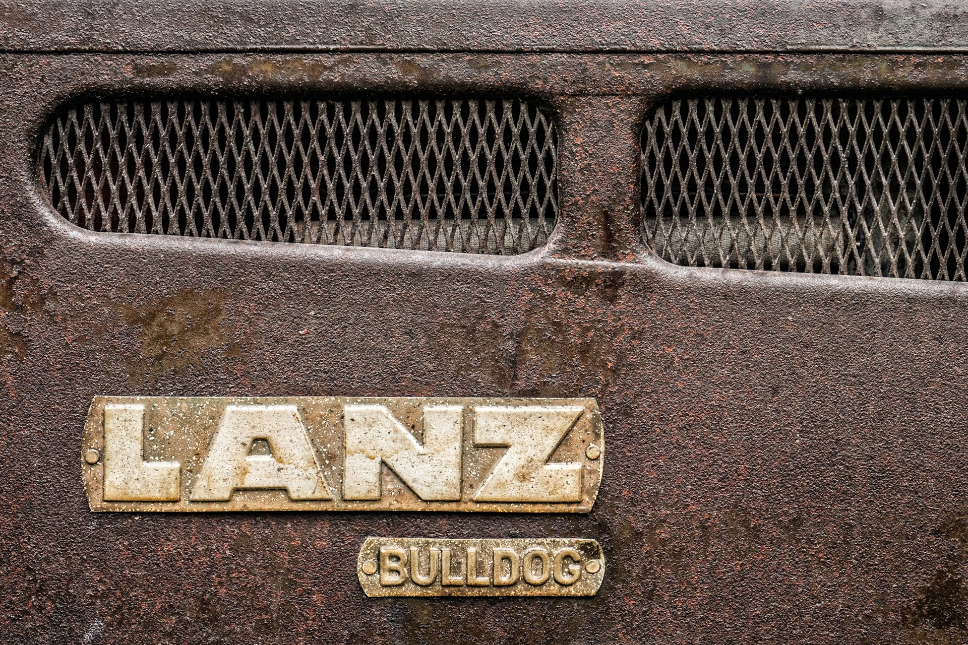 Bulldog