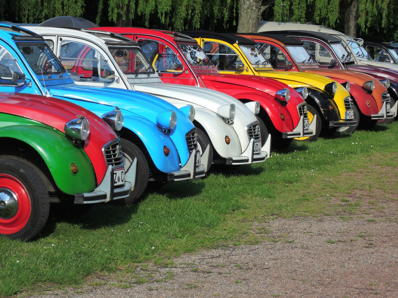 Bunte Reihe