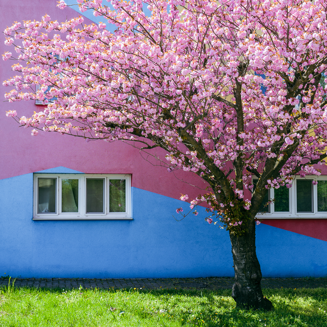 bunter Frühling