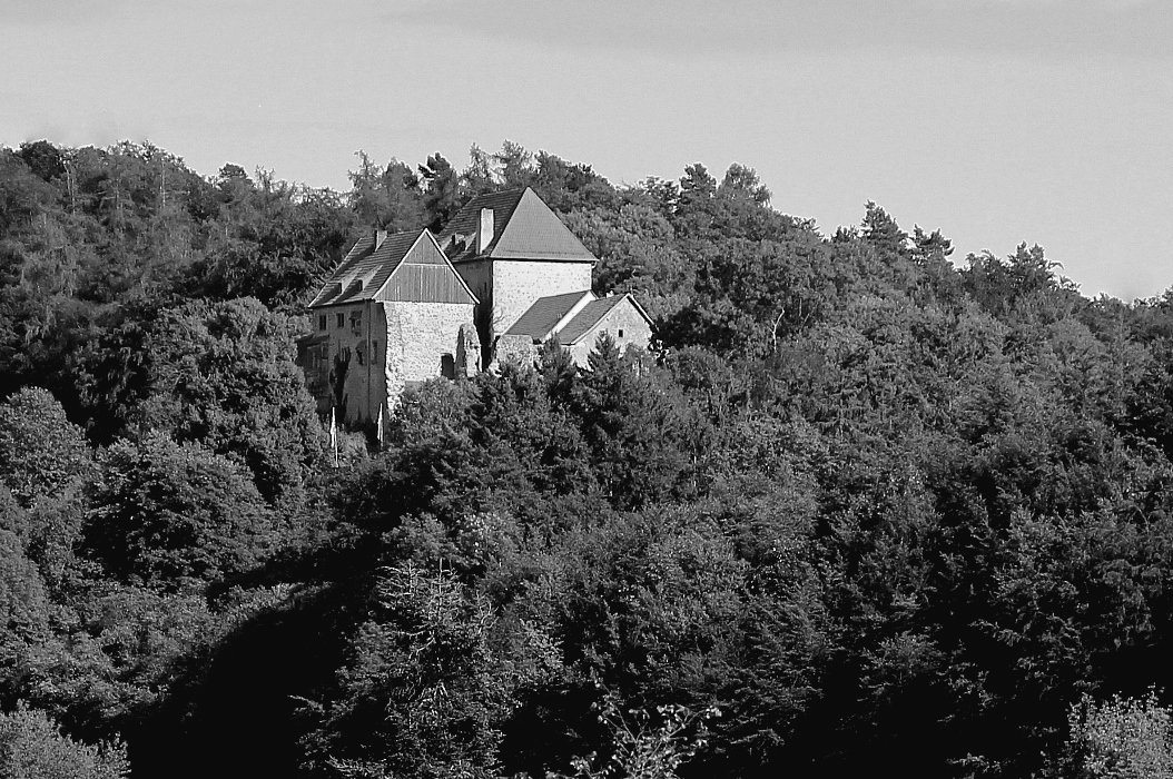 Burg im Wald