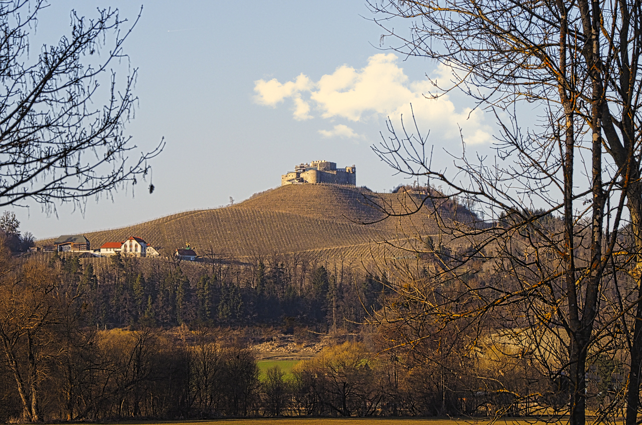 Burg Taggenbrunn