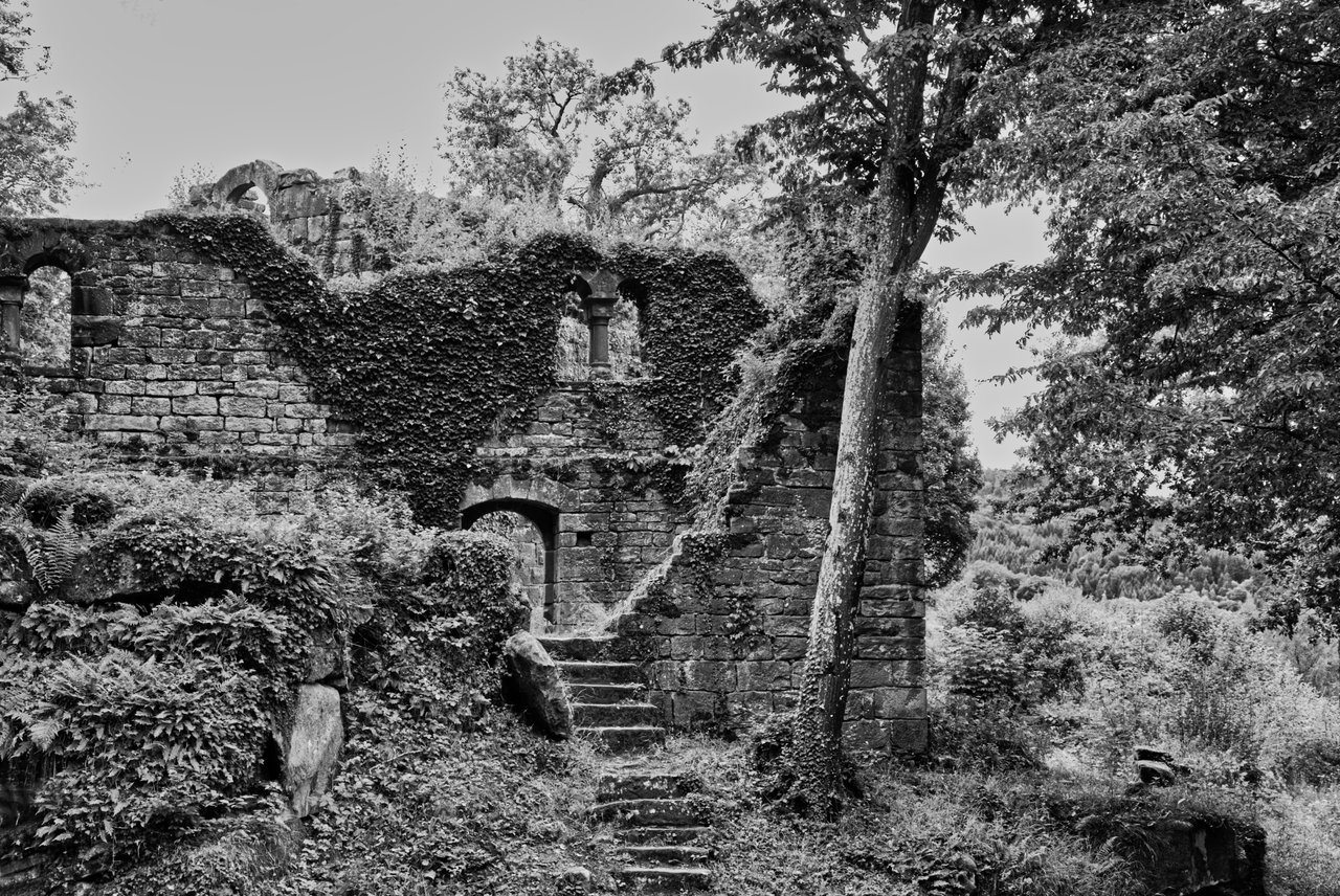 Burgansicht - Ruine Eberbach