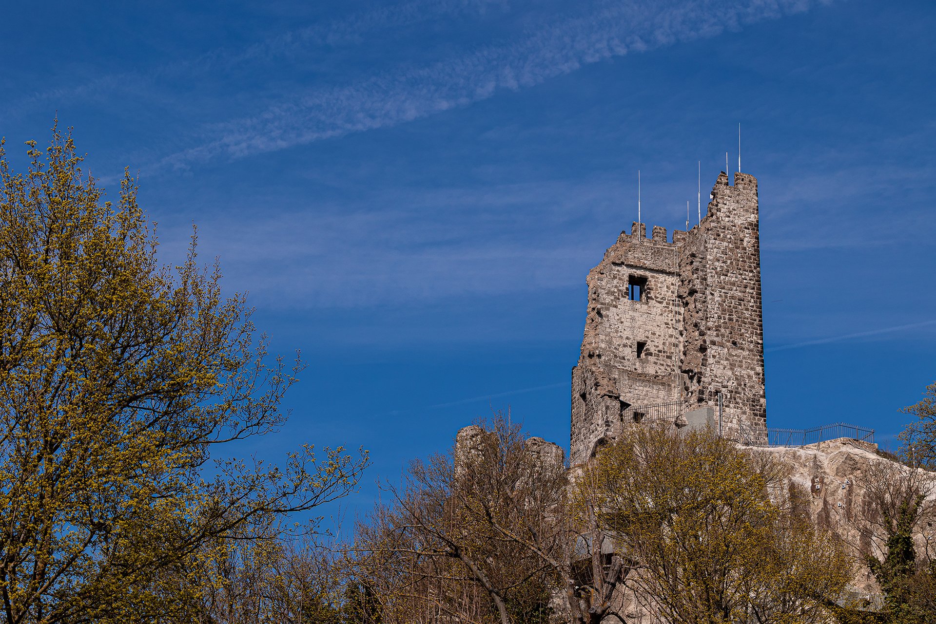 Burgruine Drachenfels