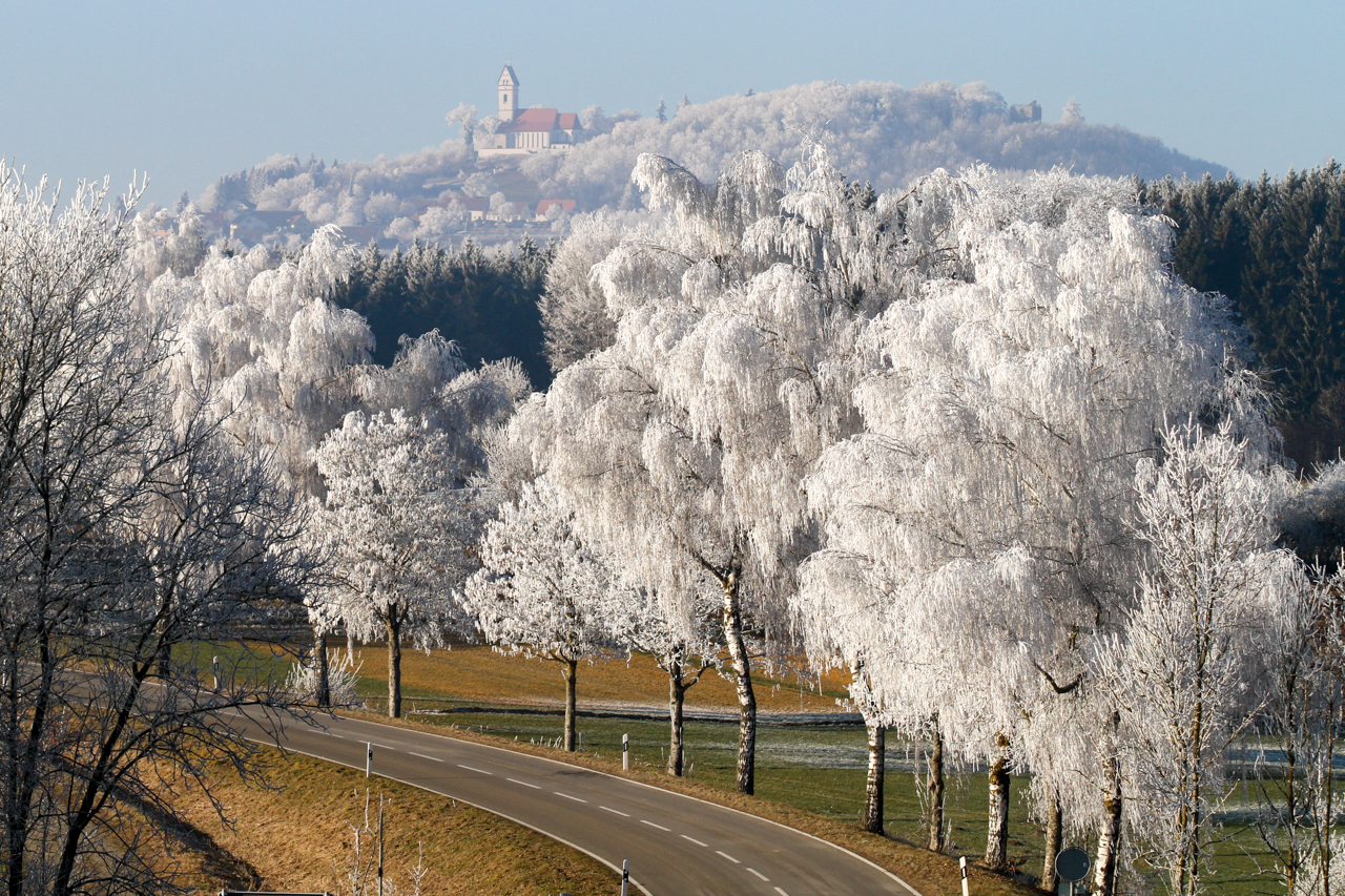 Bussen im Frostkleid