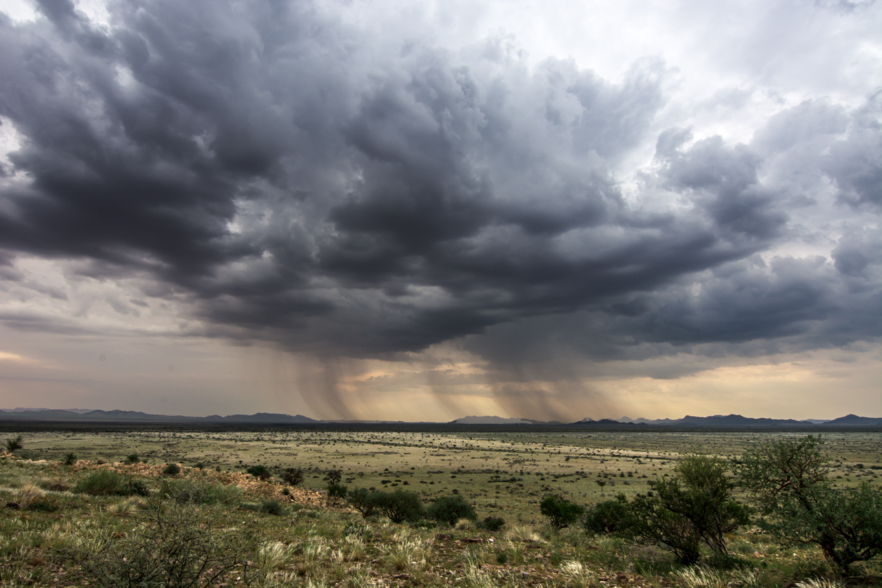 Camp-Gecko_Namibia