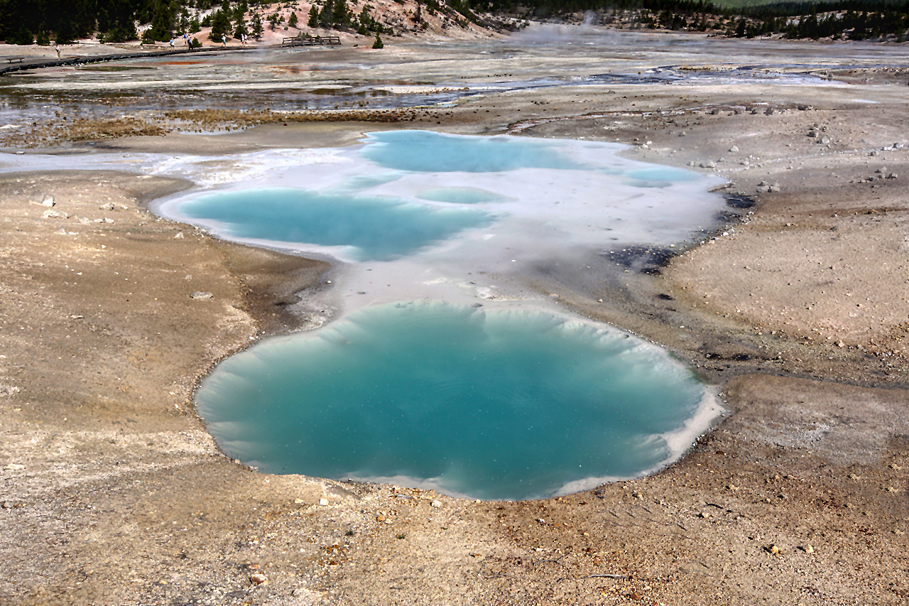 Colloidal Pool