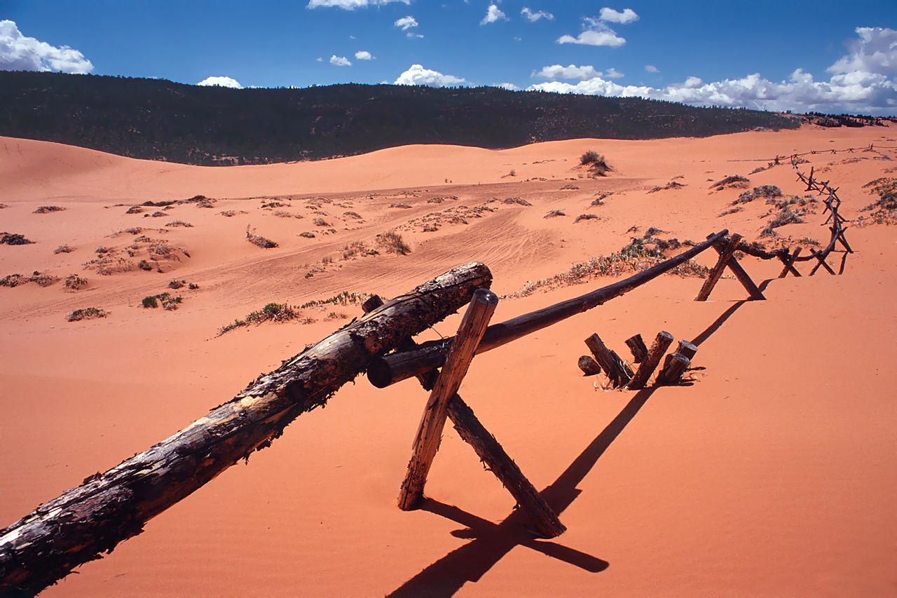 Coral Pink Sand Dunes.