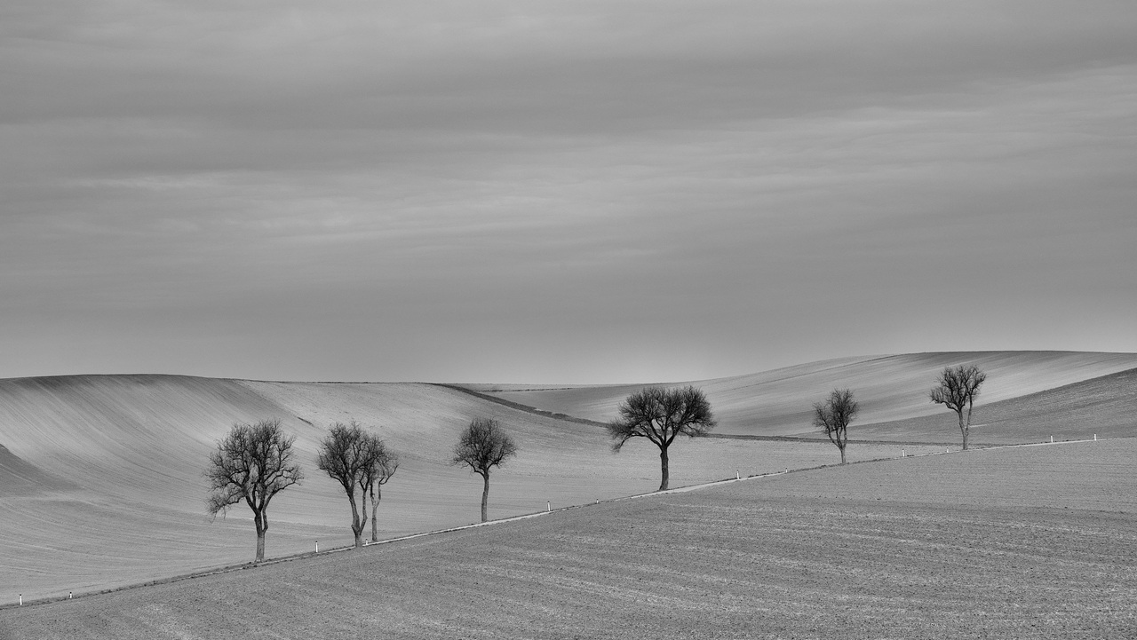 country road