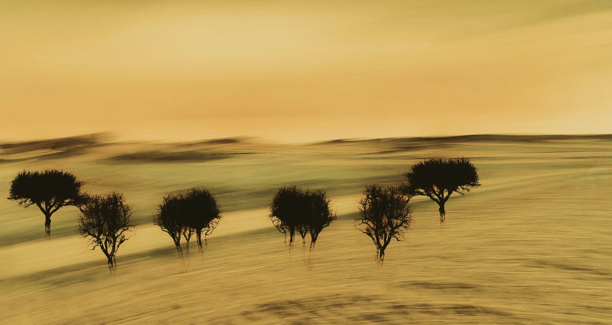country road
