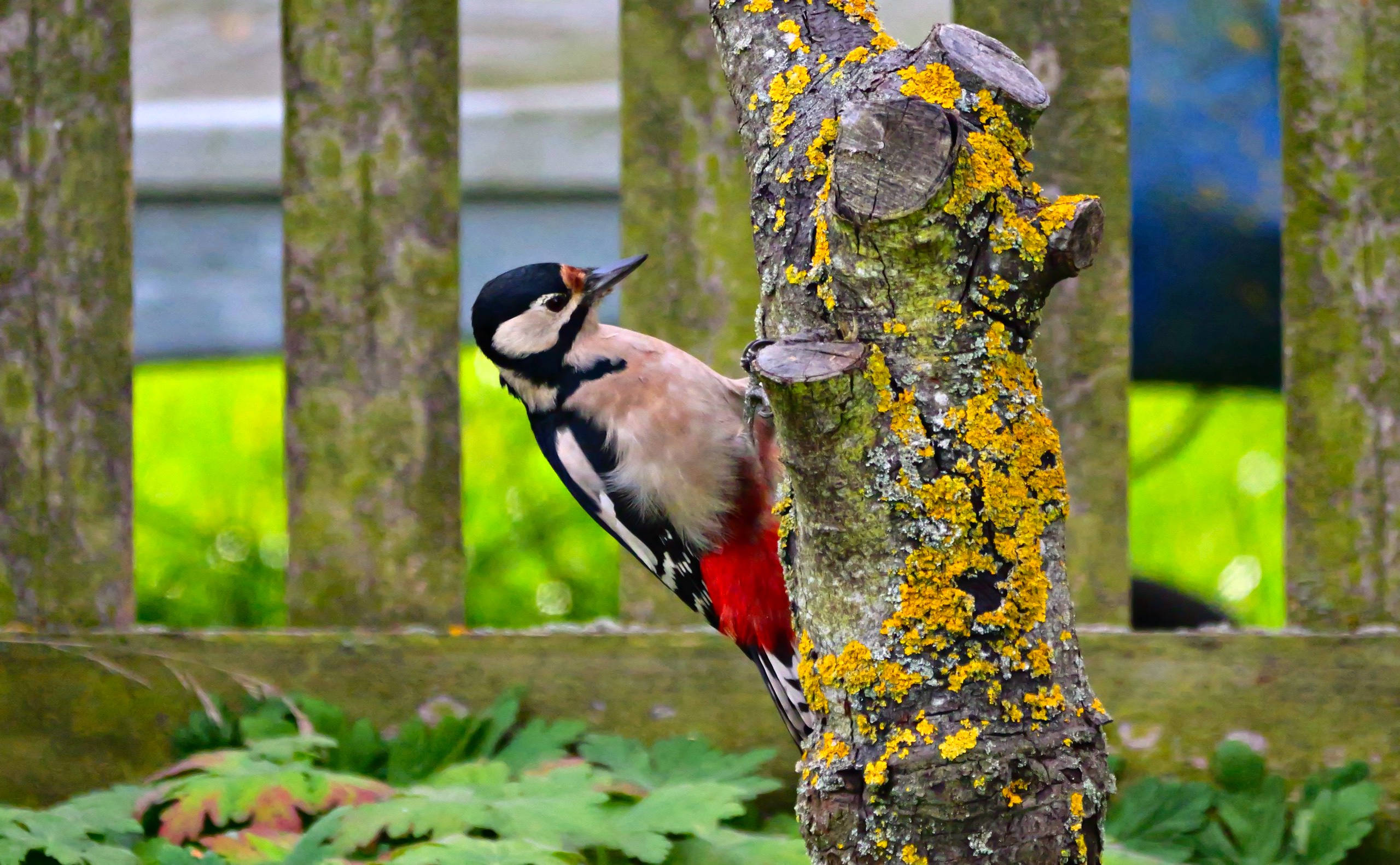 da ist was für mich